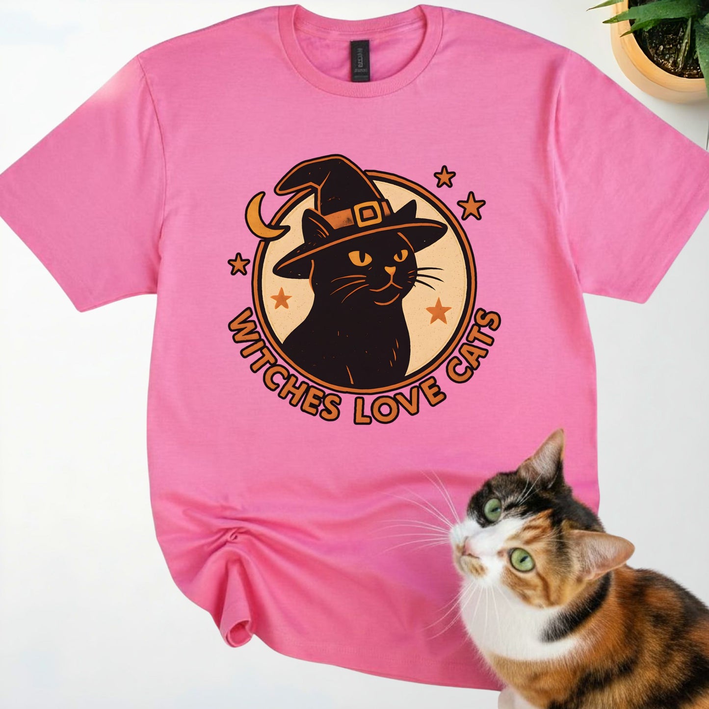 Witches Love Cats