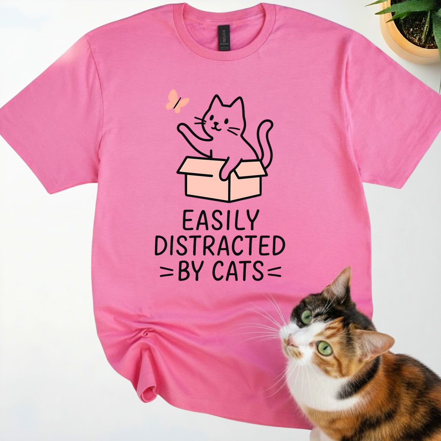 Easily Distracted by Cats