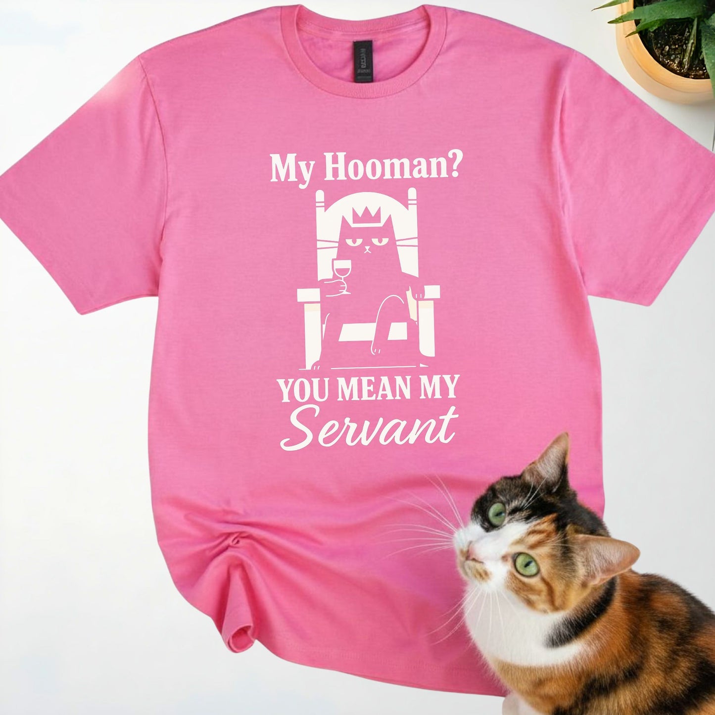 My Hooman? You mean my servant