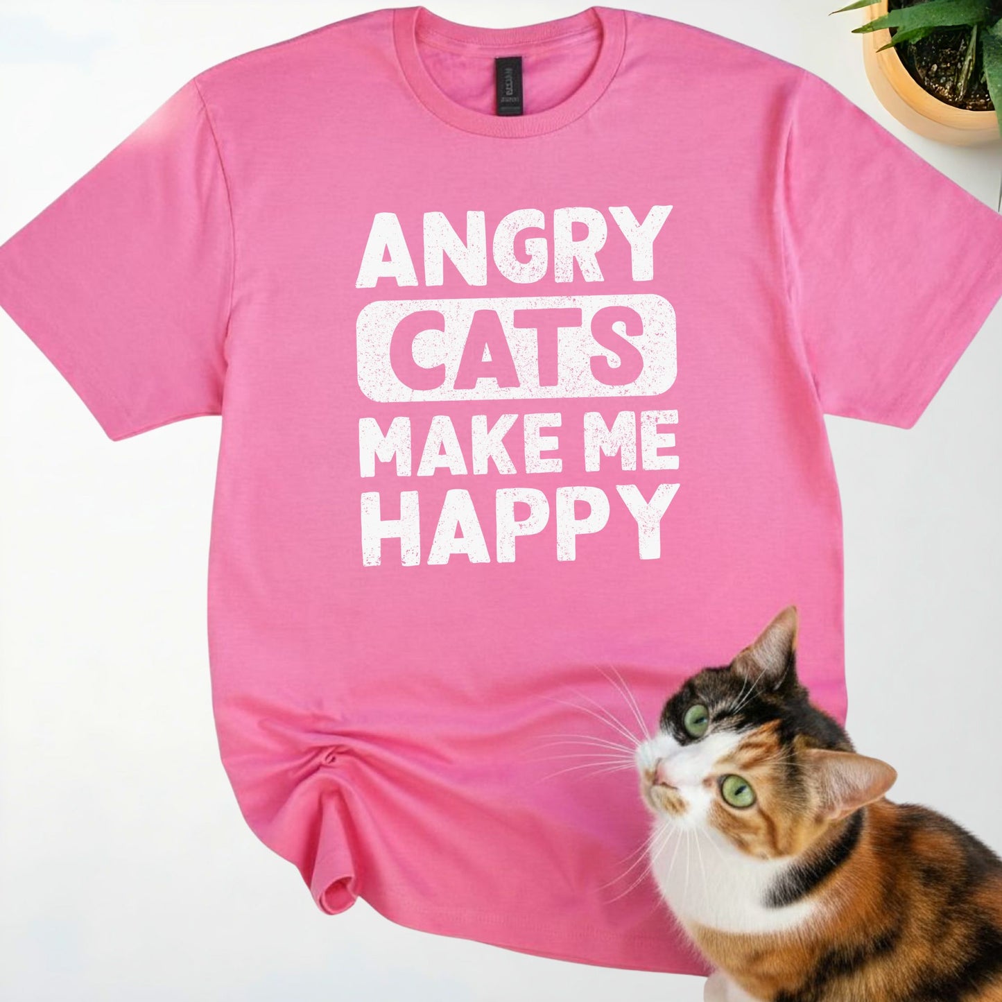 Angry Cats make me Happy