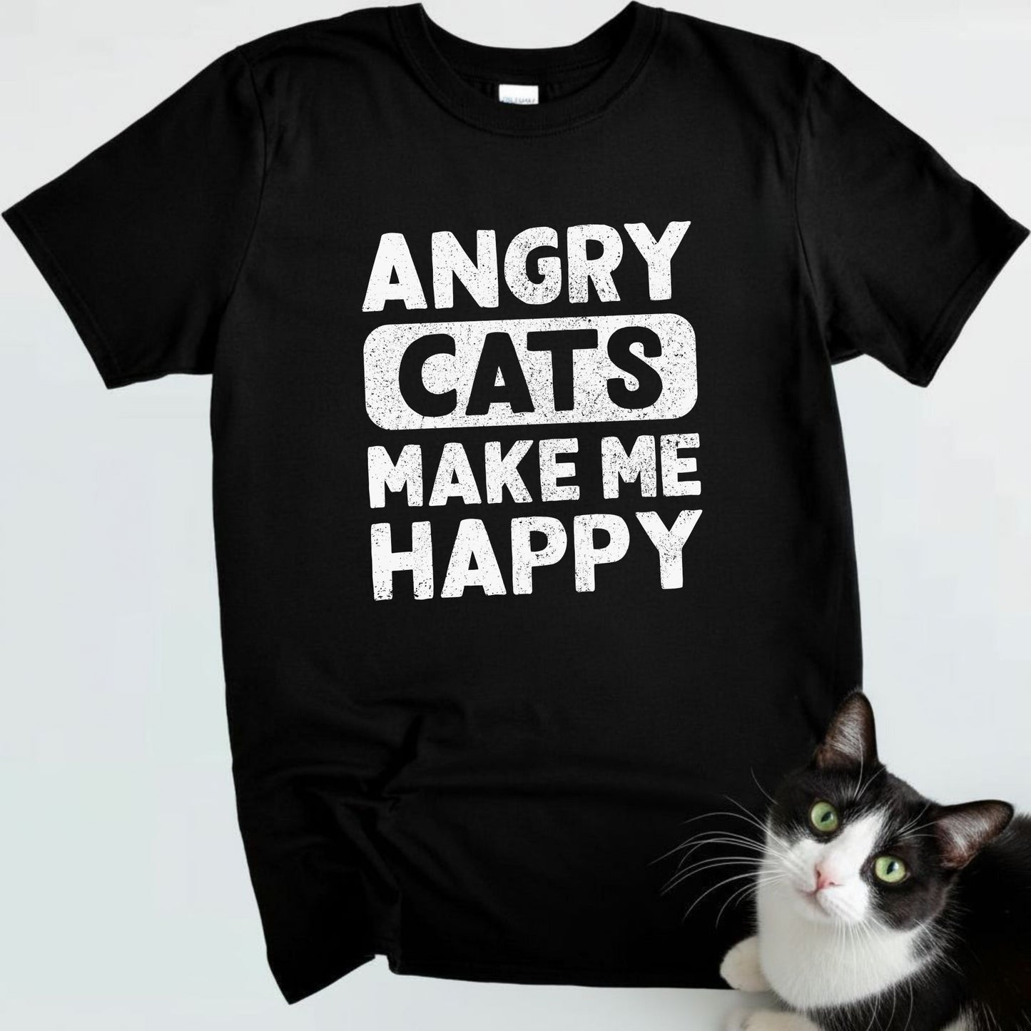 Angry Cats make me Happy