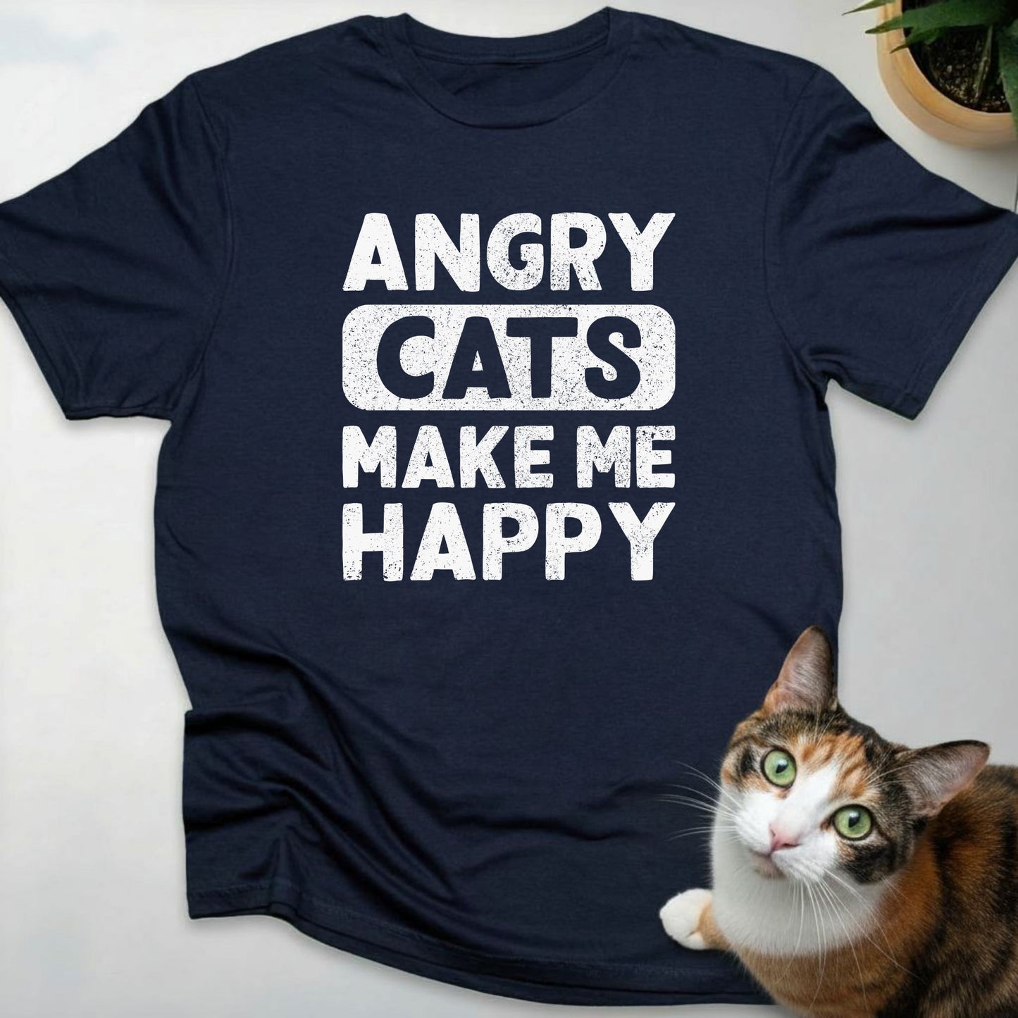 Angry Cats make me Happy