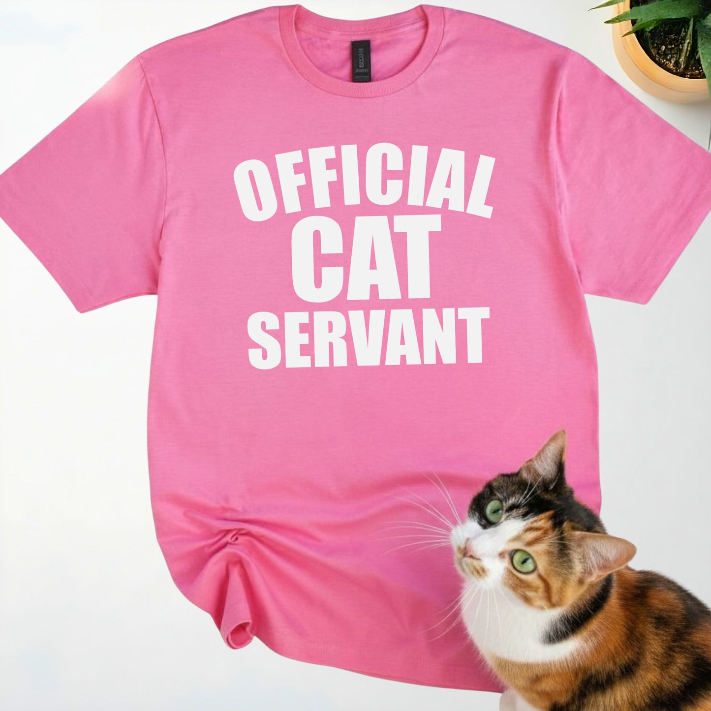 Official Cat Servant