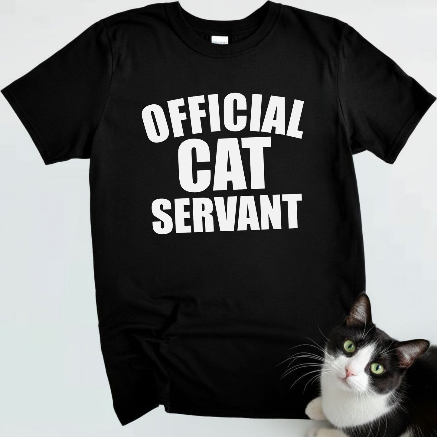 Official Cat Servant