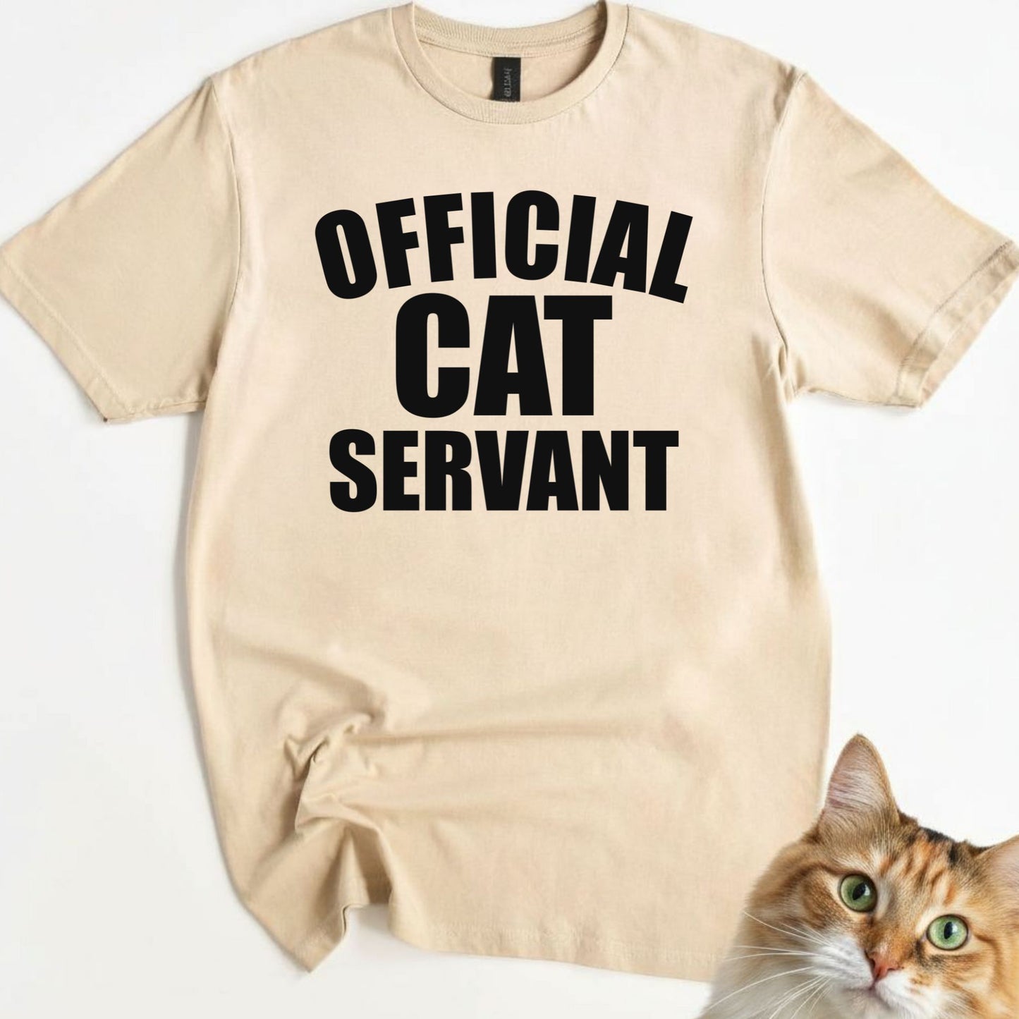Official Cat Servant