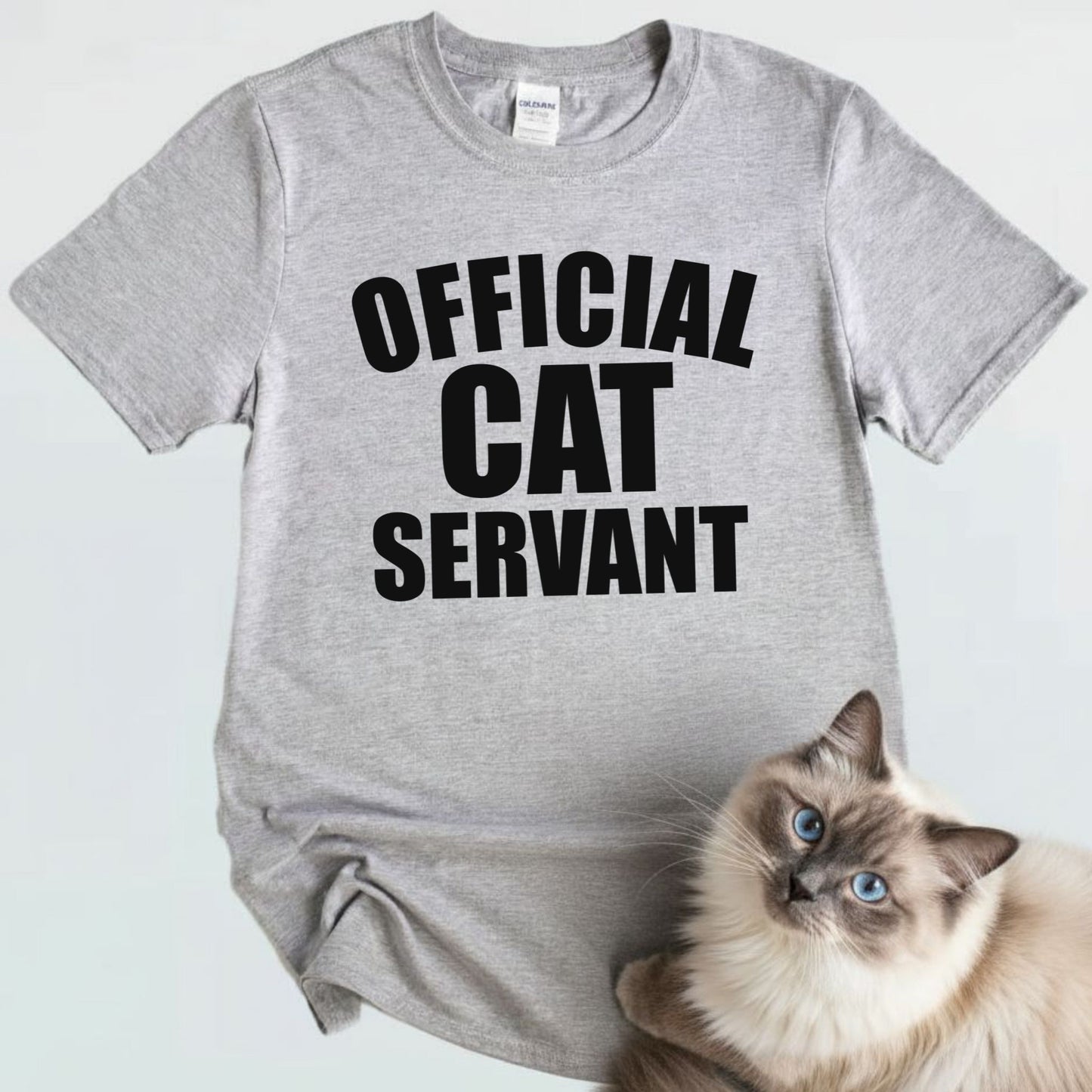 Official Cat Servant