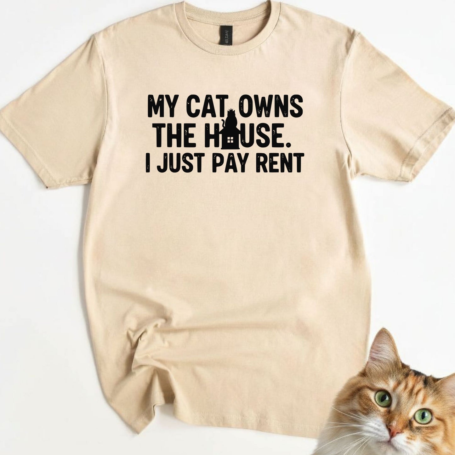 My Cat Owns the House. I just pay rent