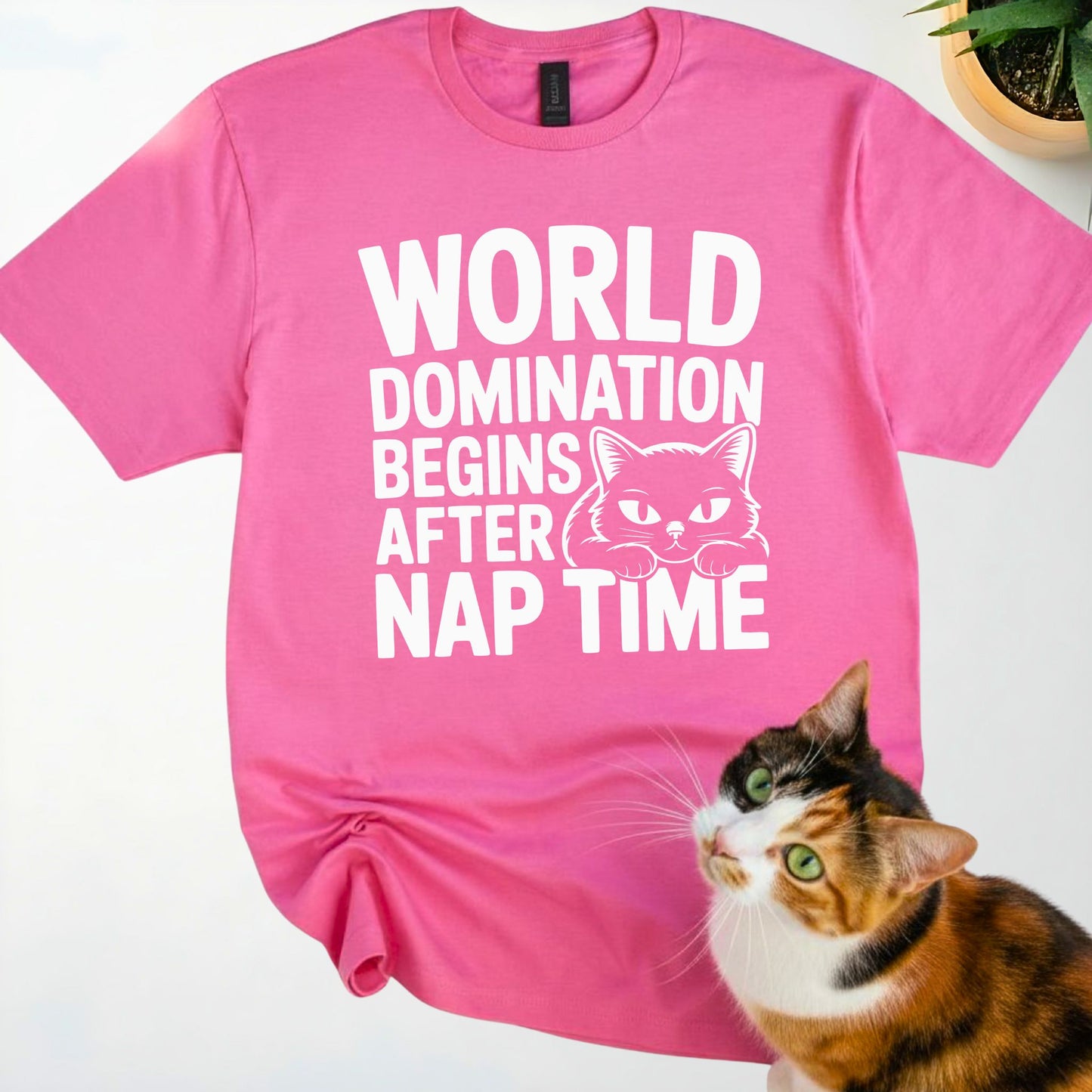 World Domination Begins After Nap Time