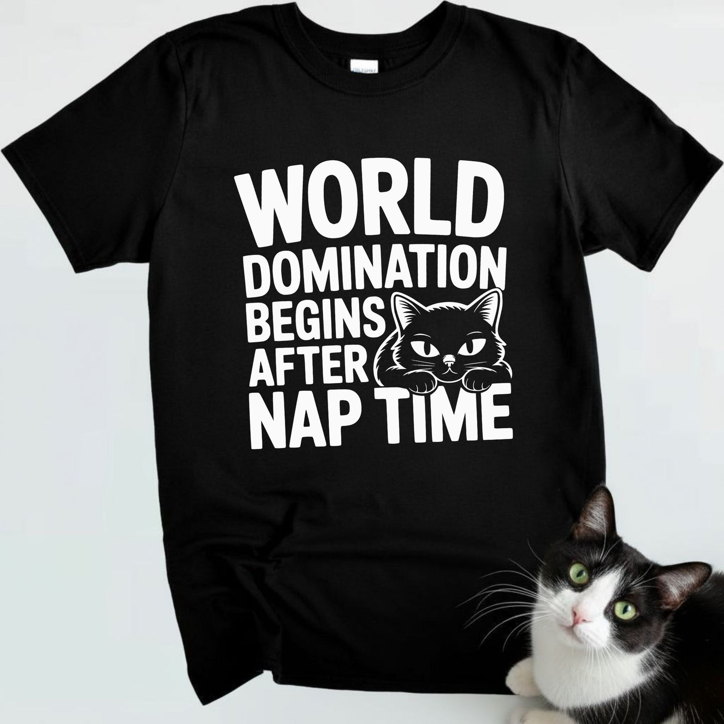 World Domination Begins After Nap Time