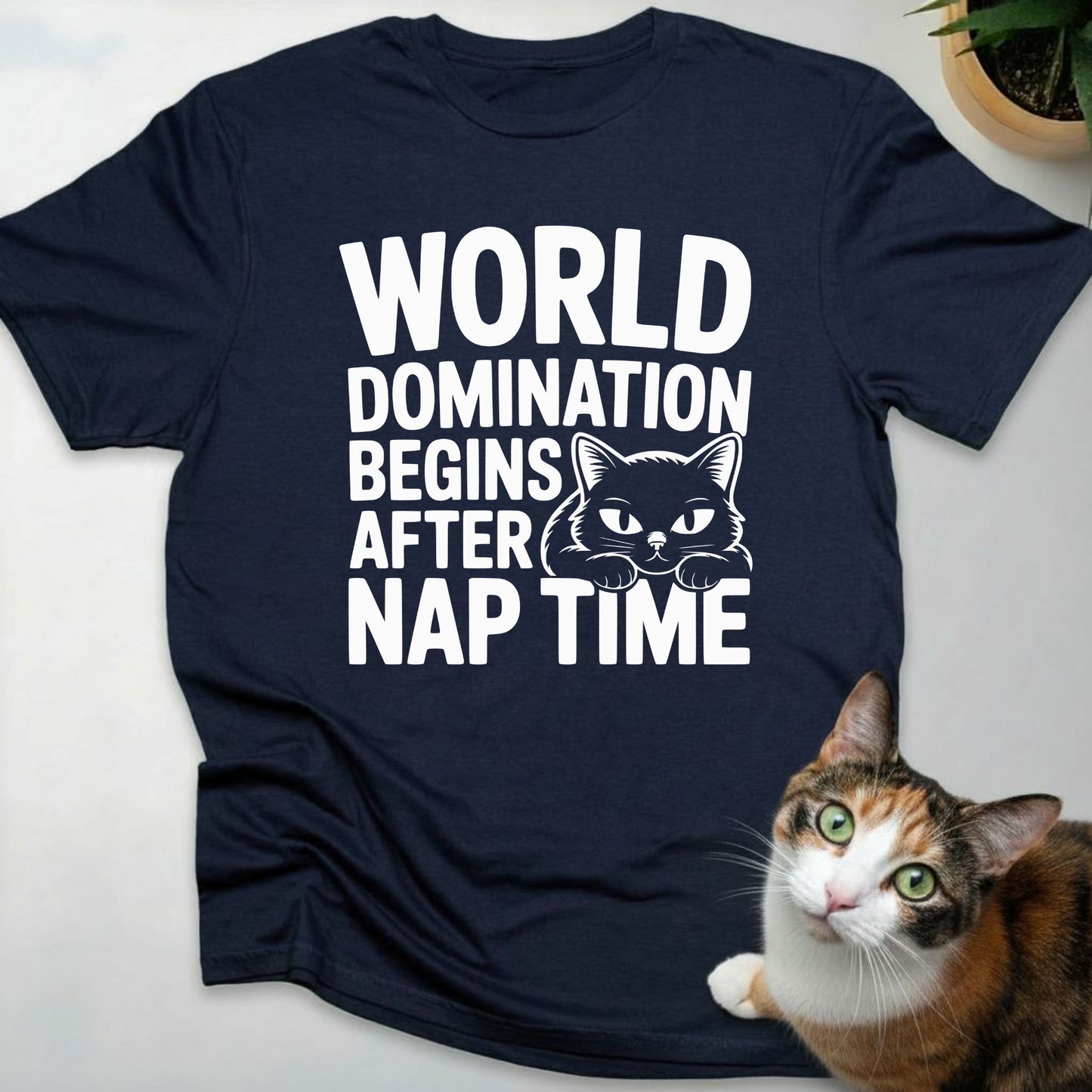 World Domination Begins After Nap Time