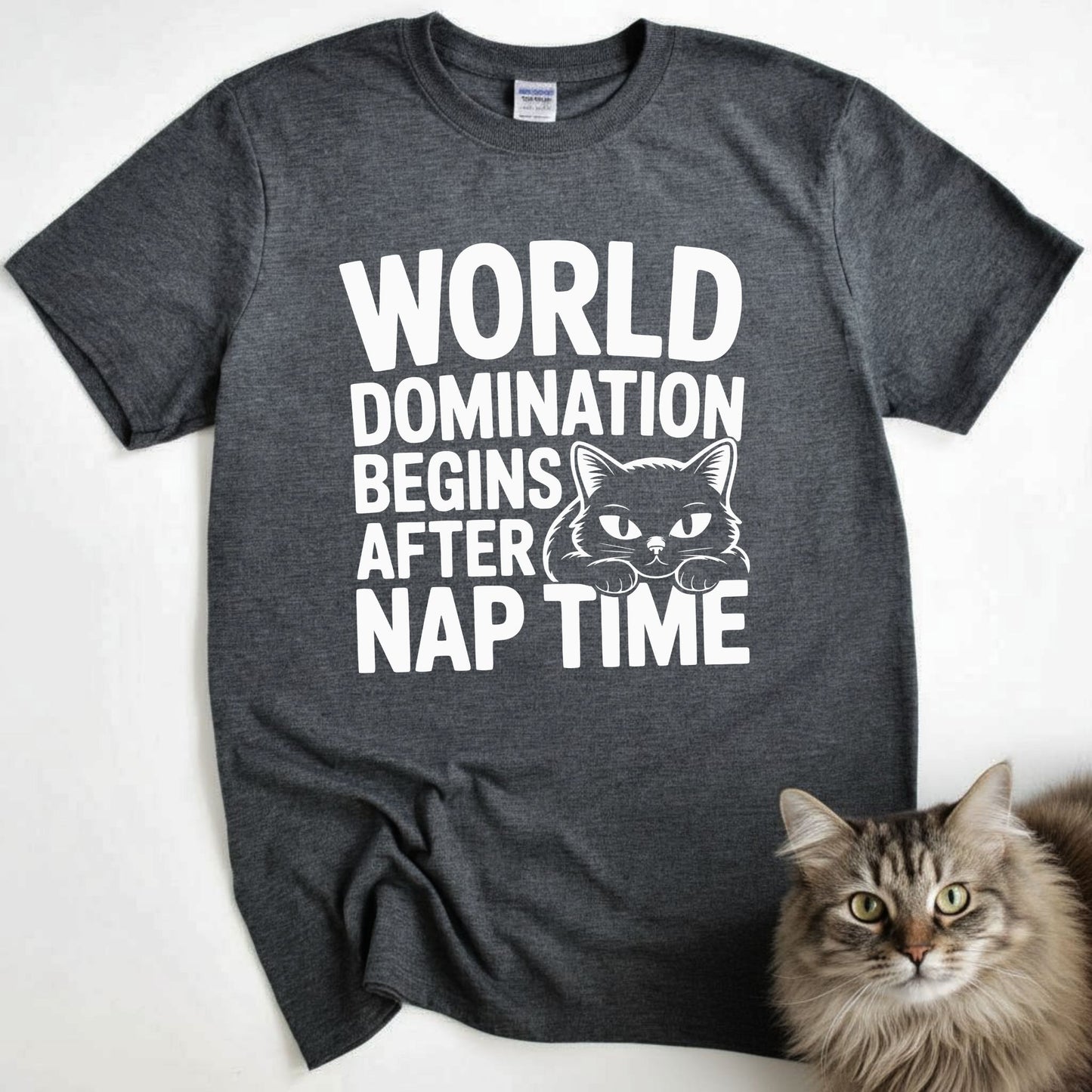 World Domination Begins After Nap Time