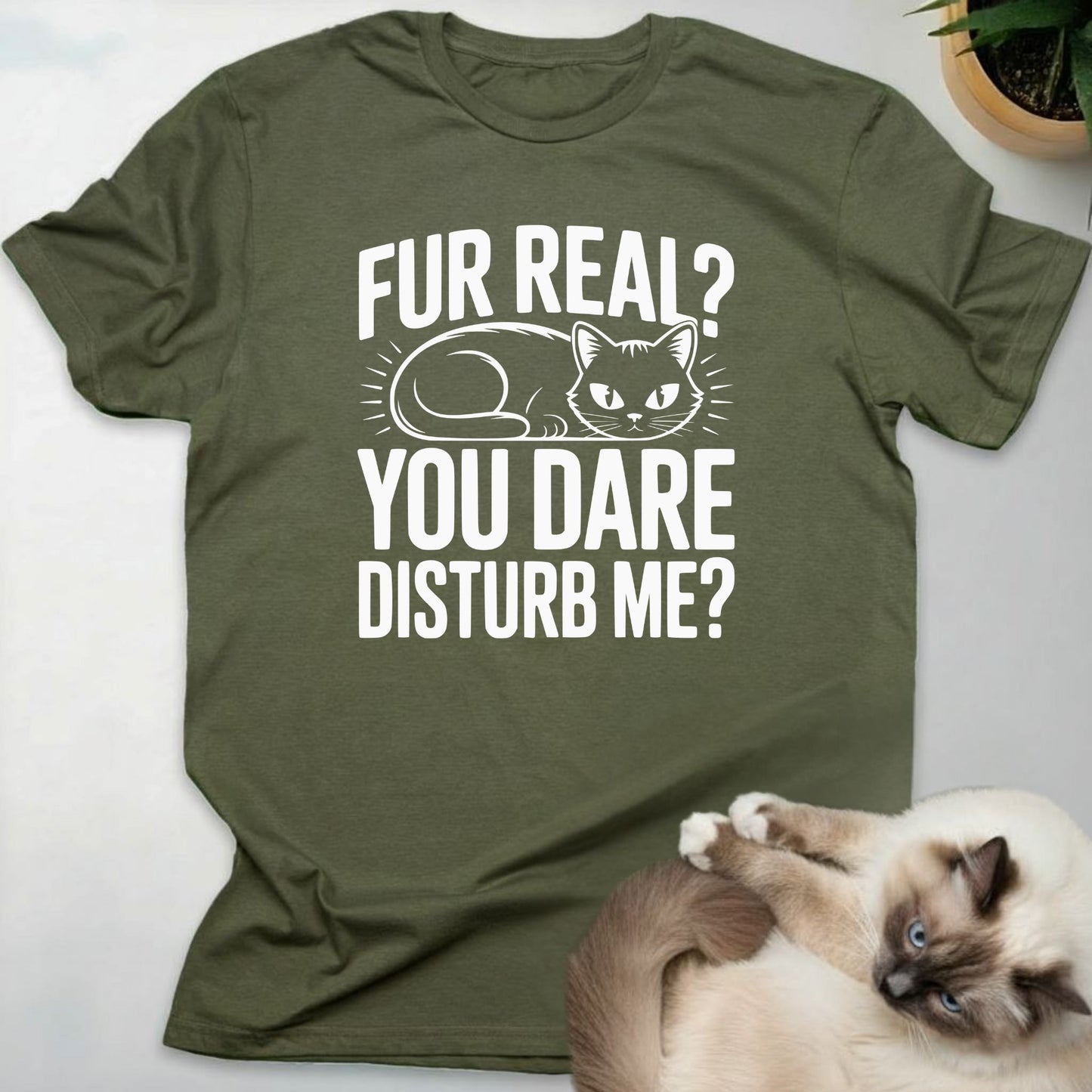 Fur Real? You Dare Disturb Me?