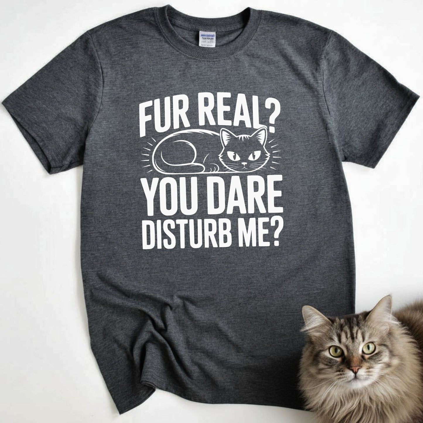 Fur Real? You Dare Disturb Me?