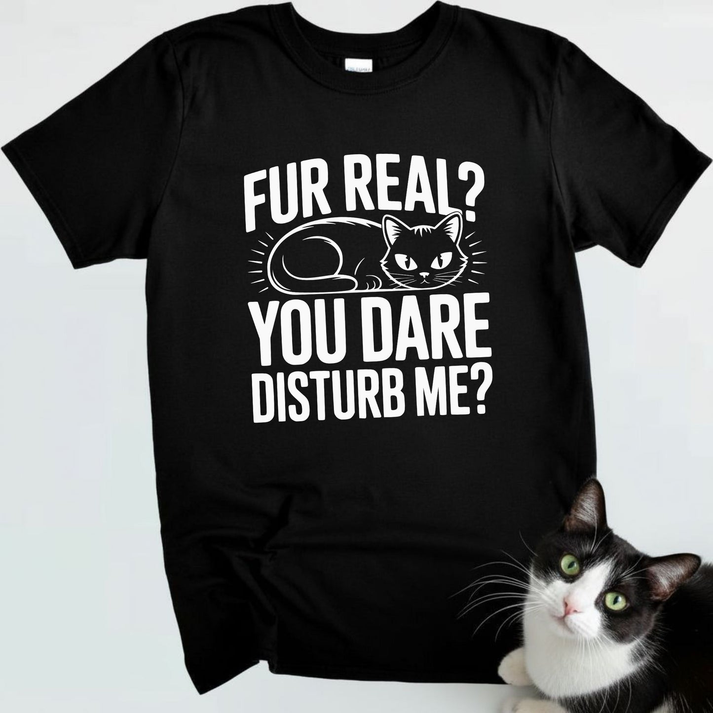 Fur Real? You Dare Disturb Me?