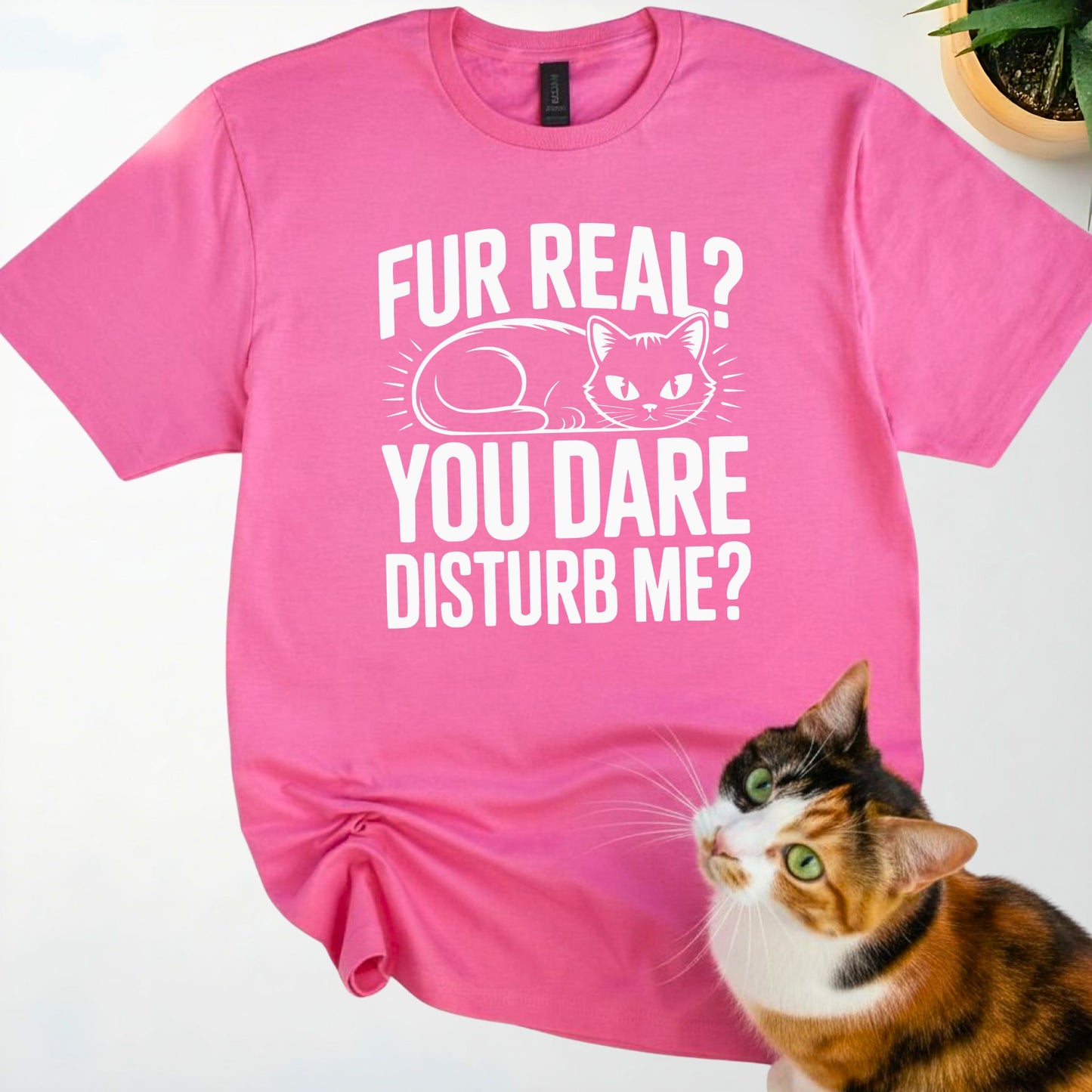 Fur Real? You Dare Disturb Me?