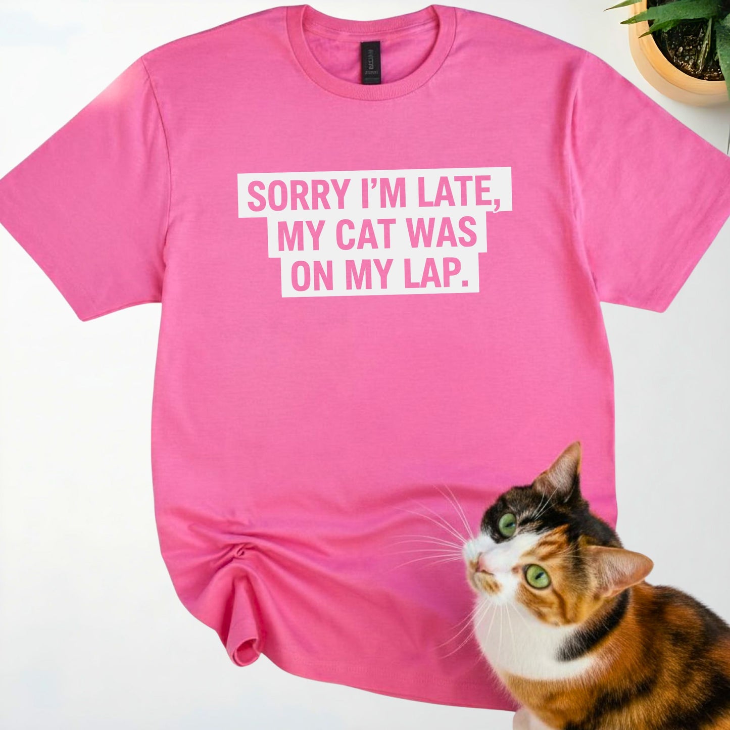 Sorry I’m Late, My Cat Was On My Lap