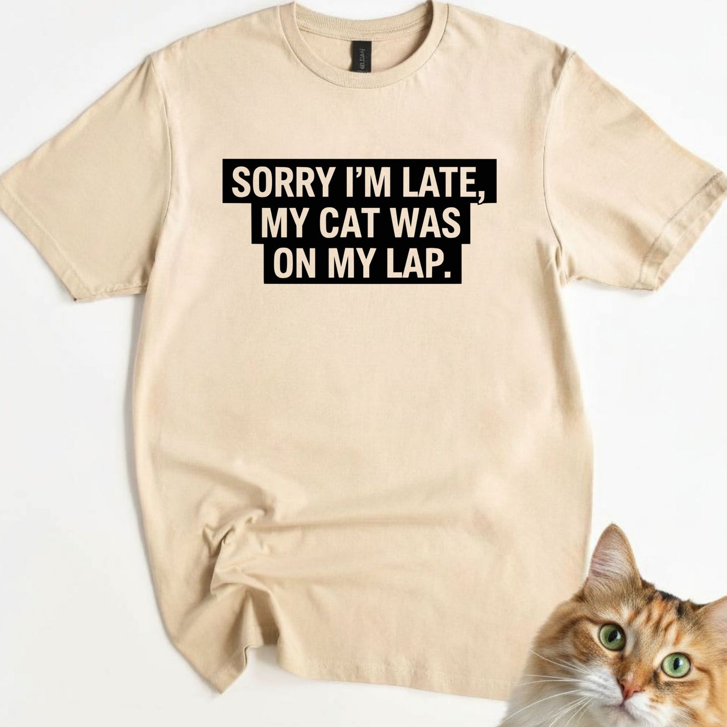 Sorry I’m Late, My Cat Was On My Lap