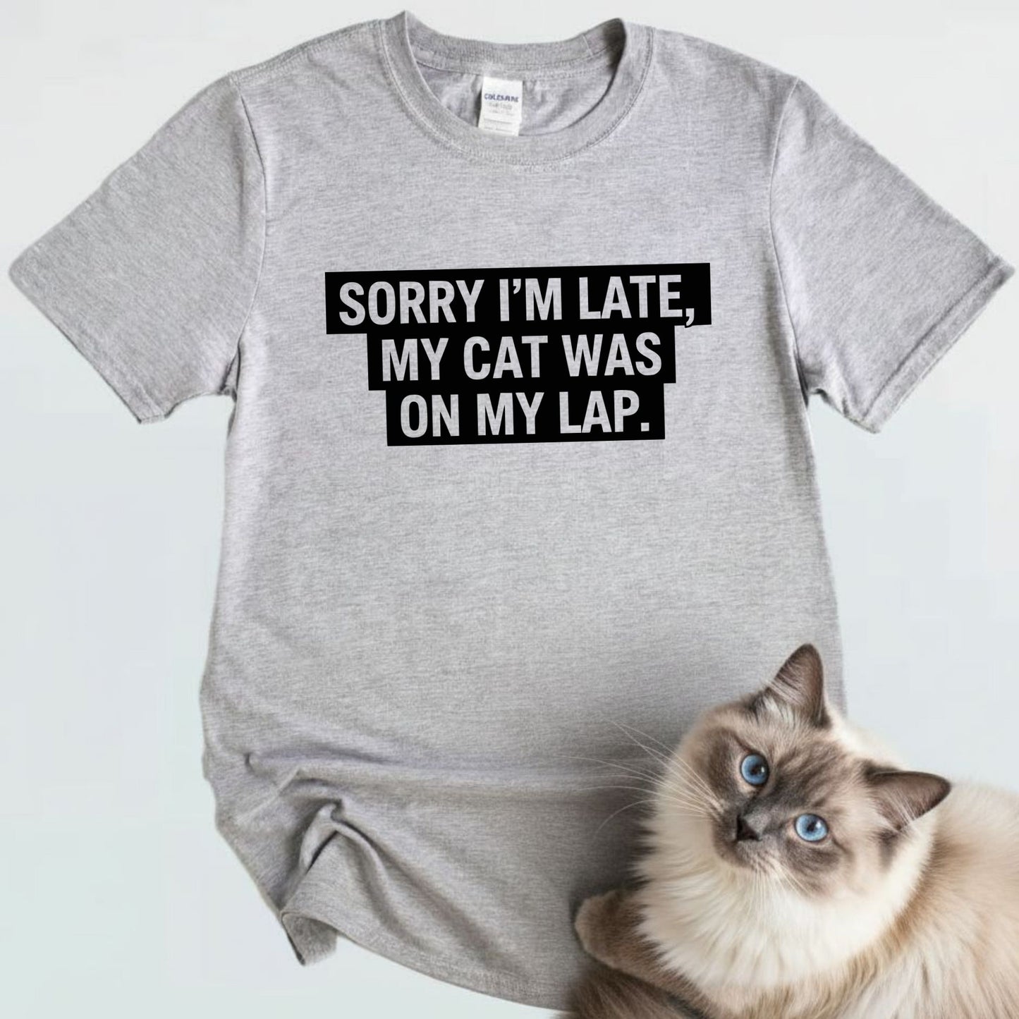 Sorry I’m Late, My Cat Was On My Lap