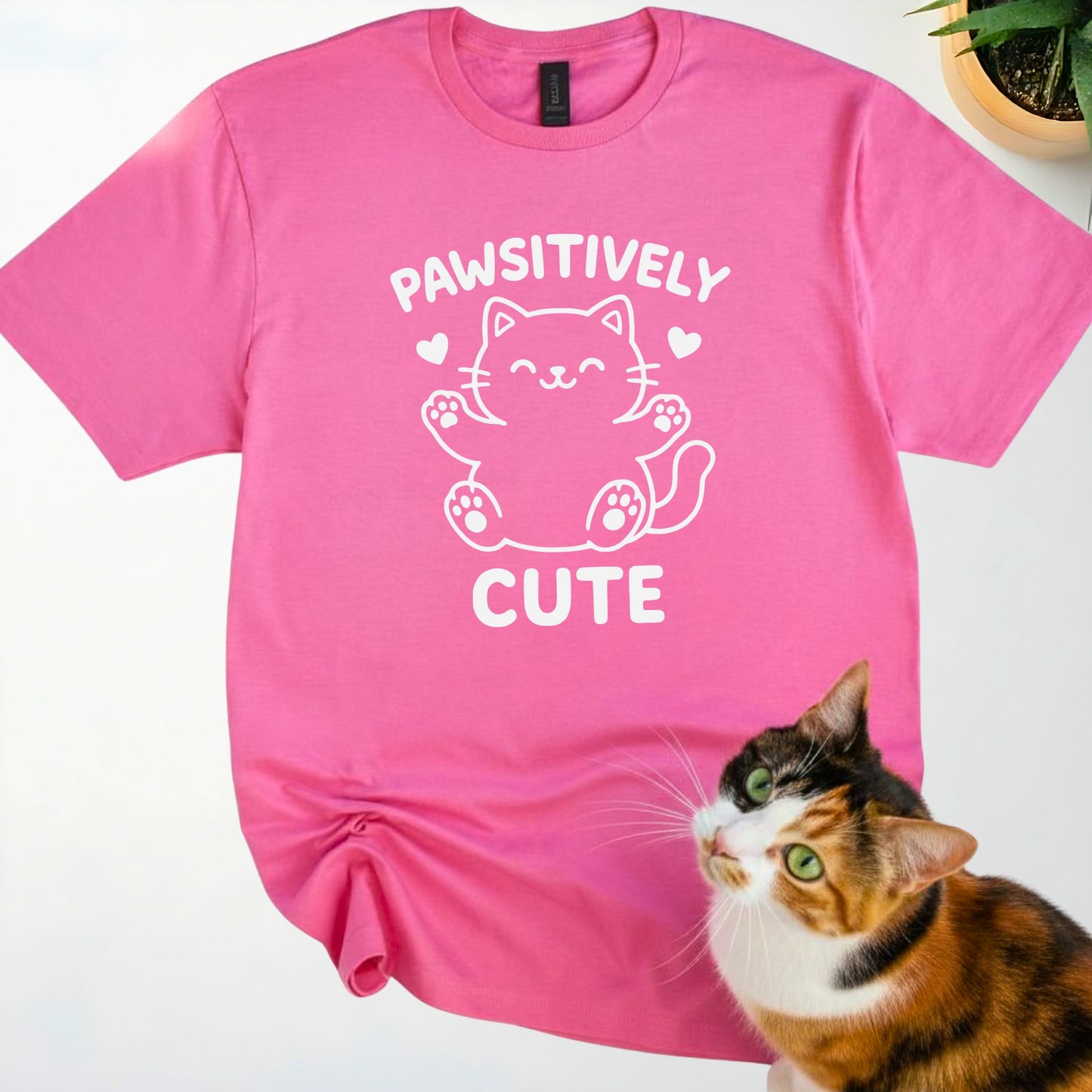 Pawsitively Cute
