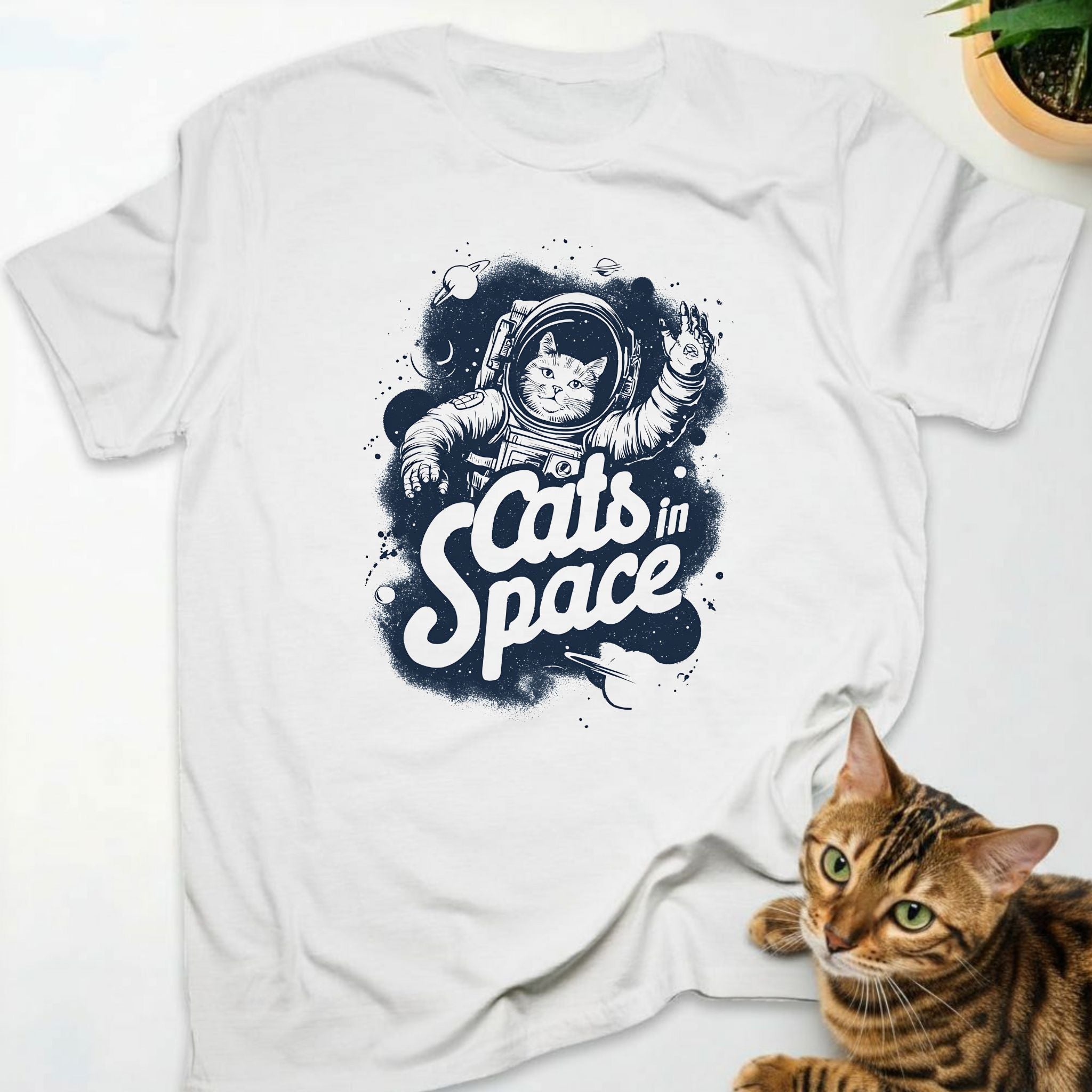 Cats in Space