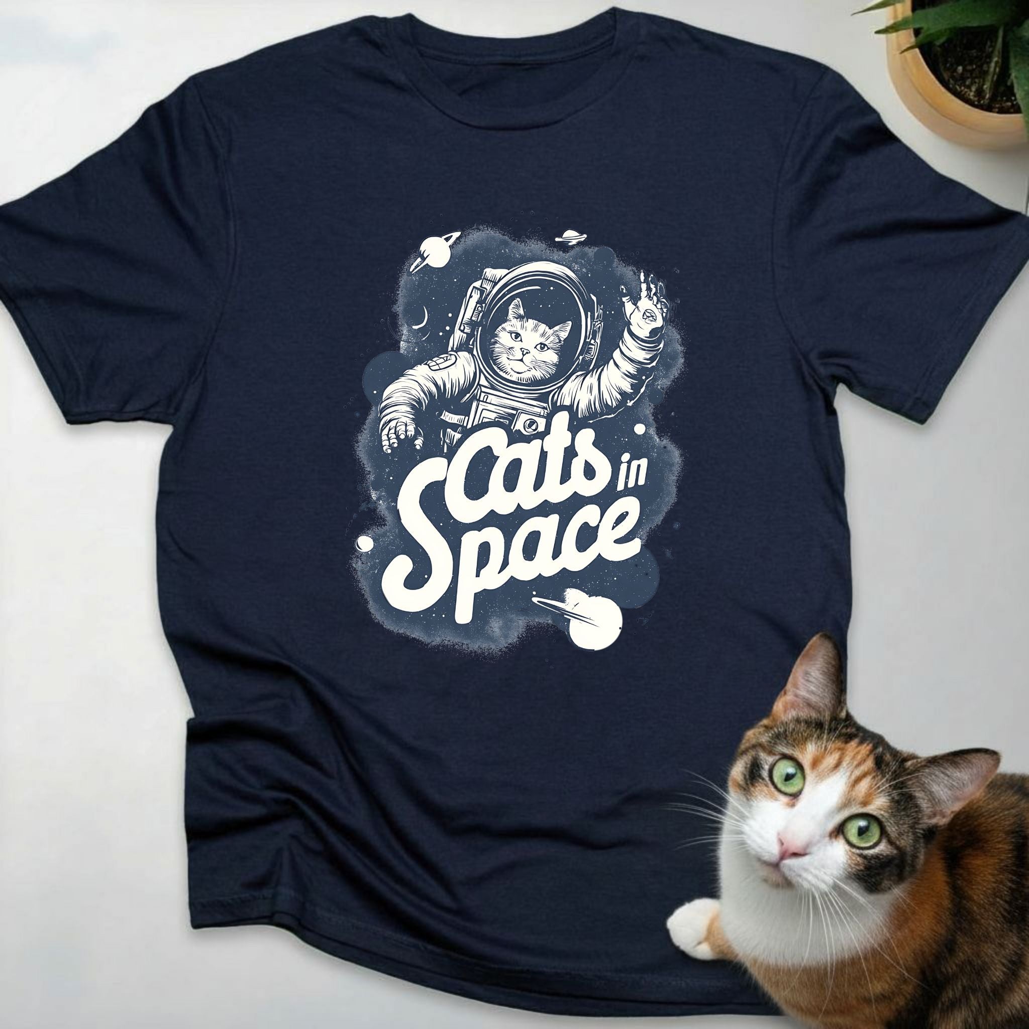 Cats in Space