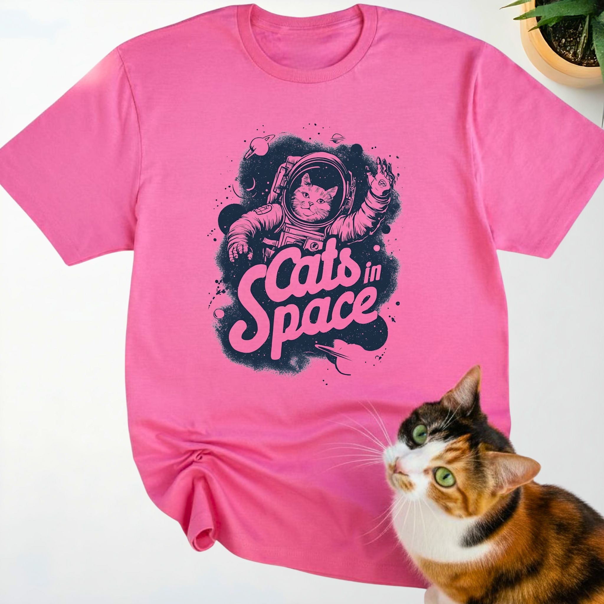 Cats in Space