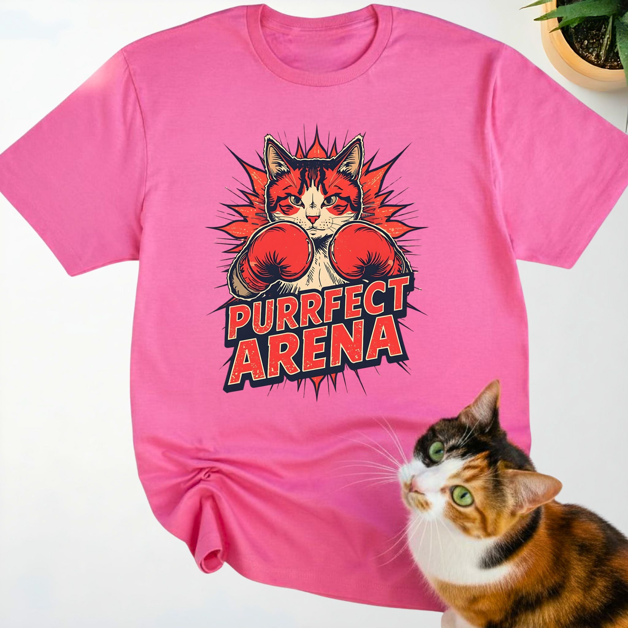 Purrfect Arena