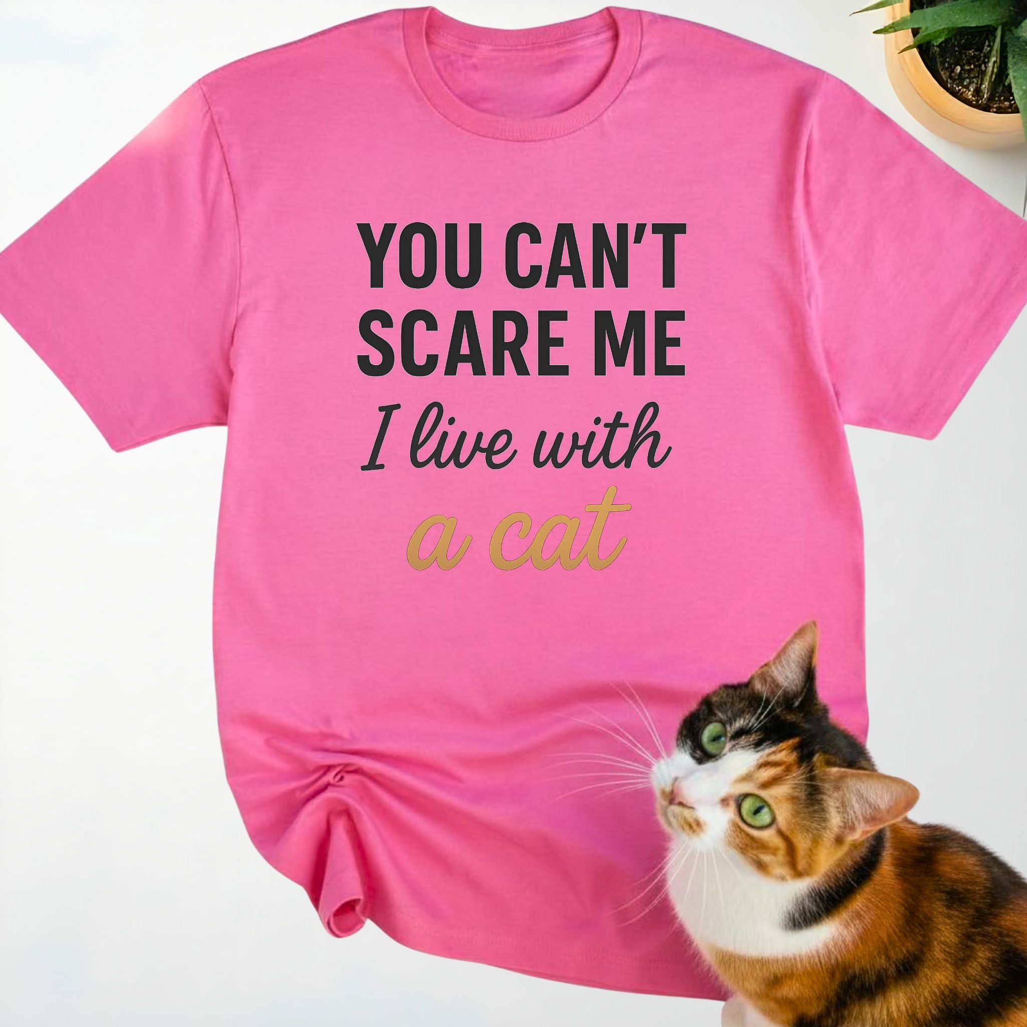 You Can’t Scare Me I Live with a Cat