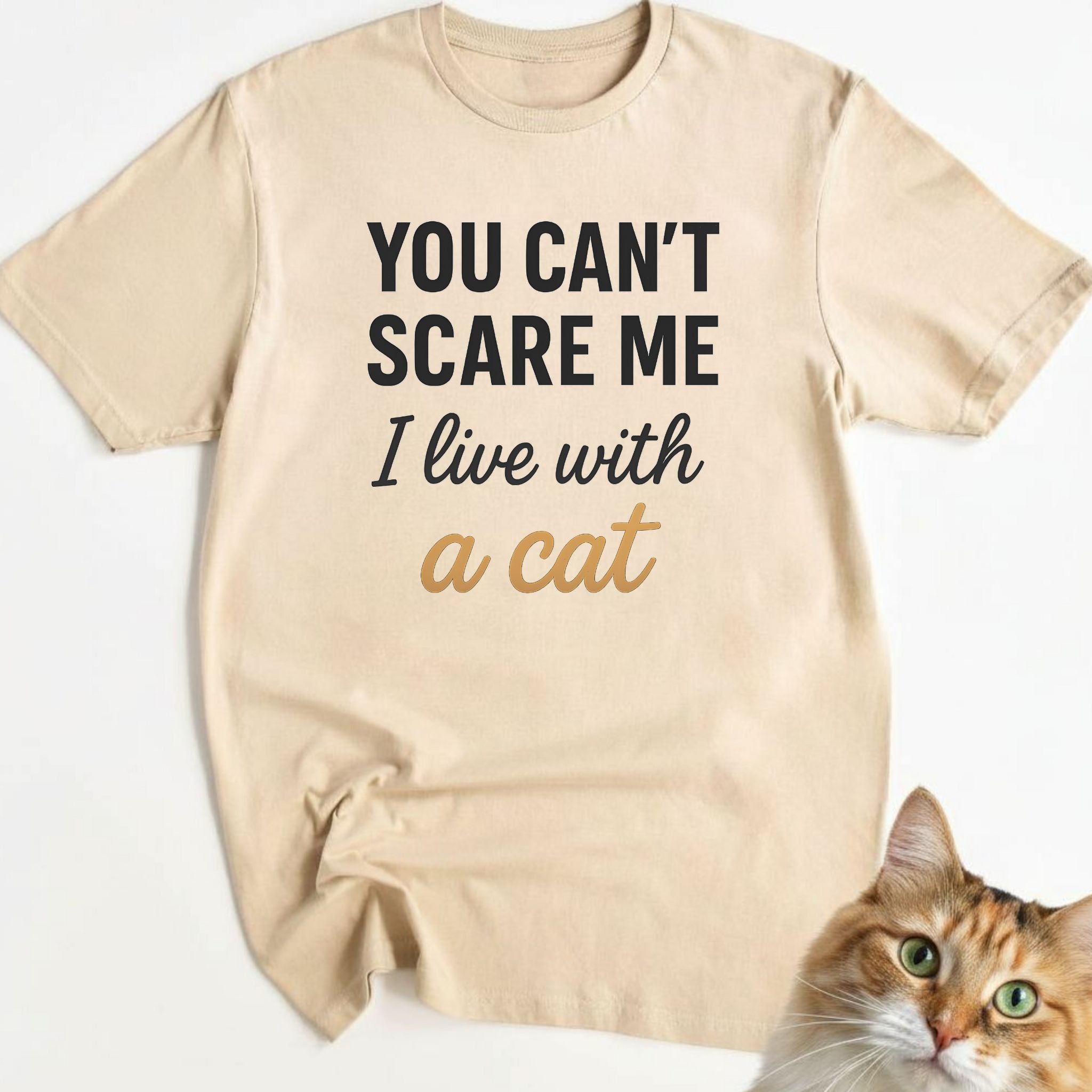 You Can’t Scare Me I Live with a Cat