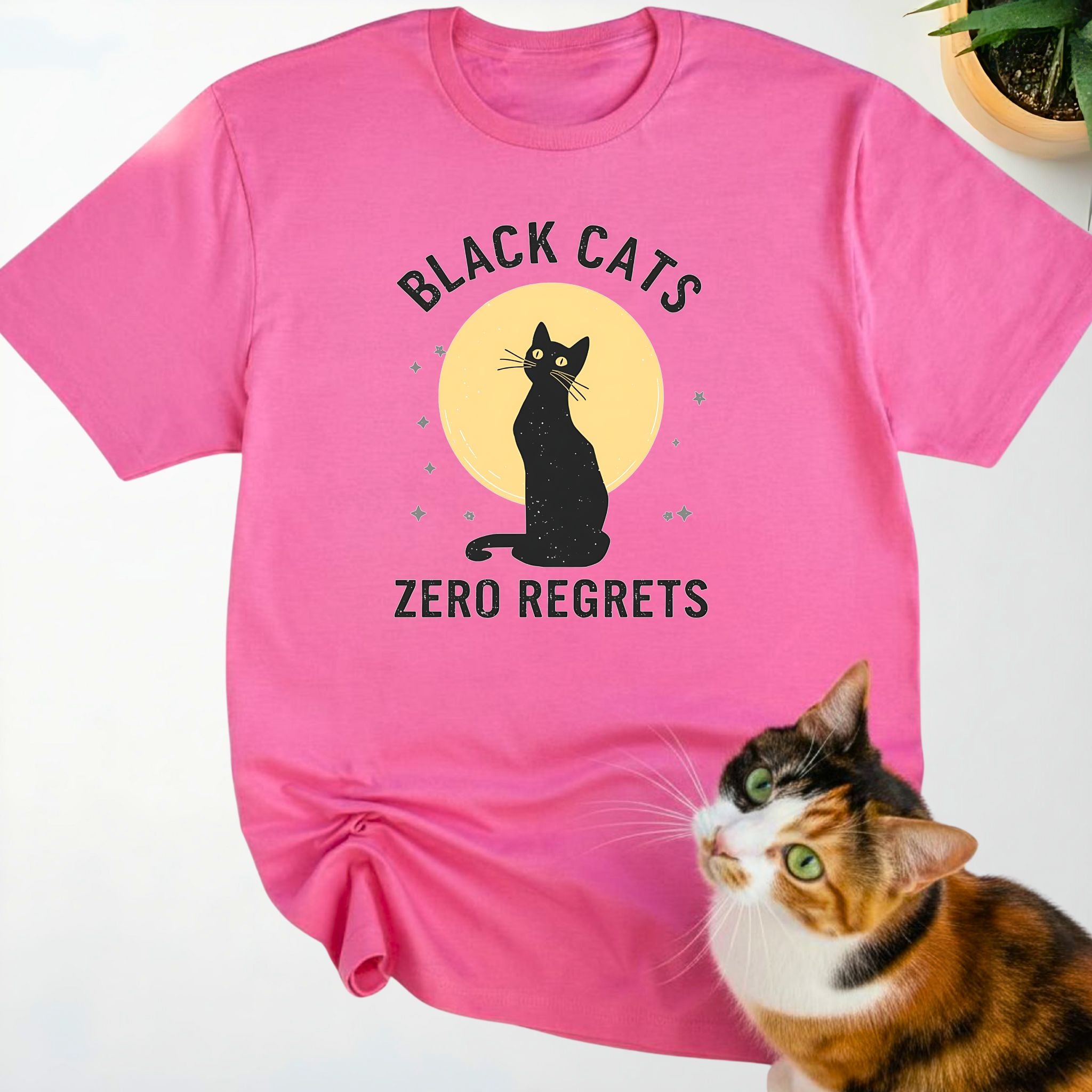 Black Cats Zero Regrets