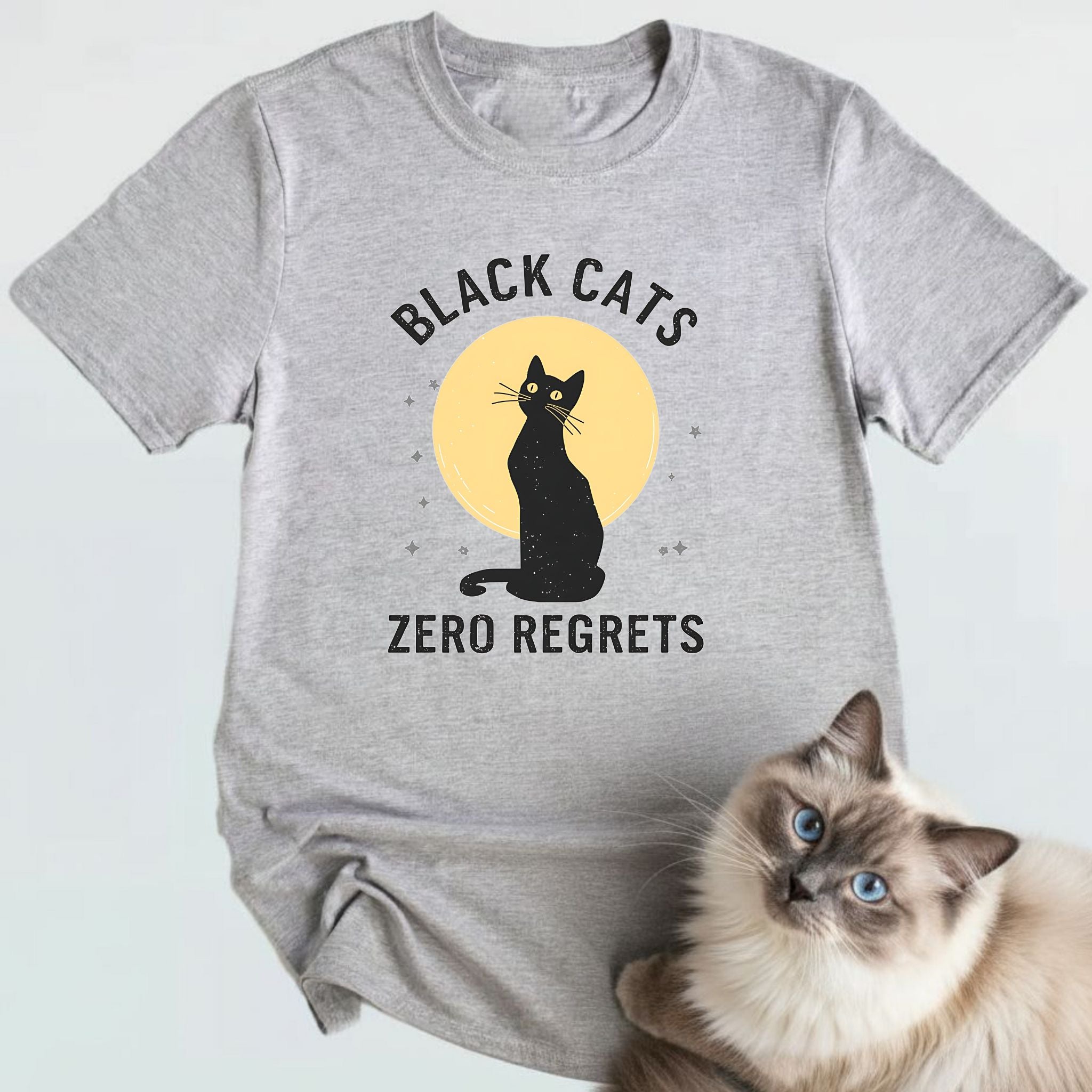 Black Cats Zero Regrets