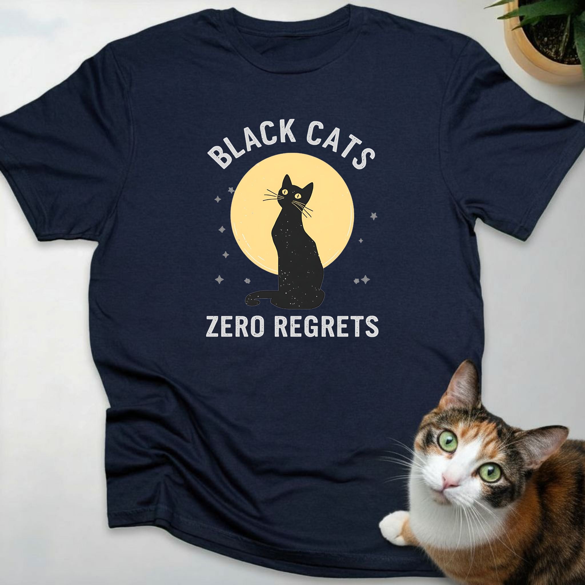 Black Cats Zero Regrets