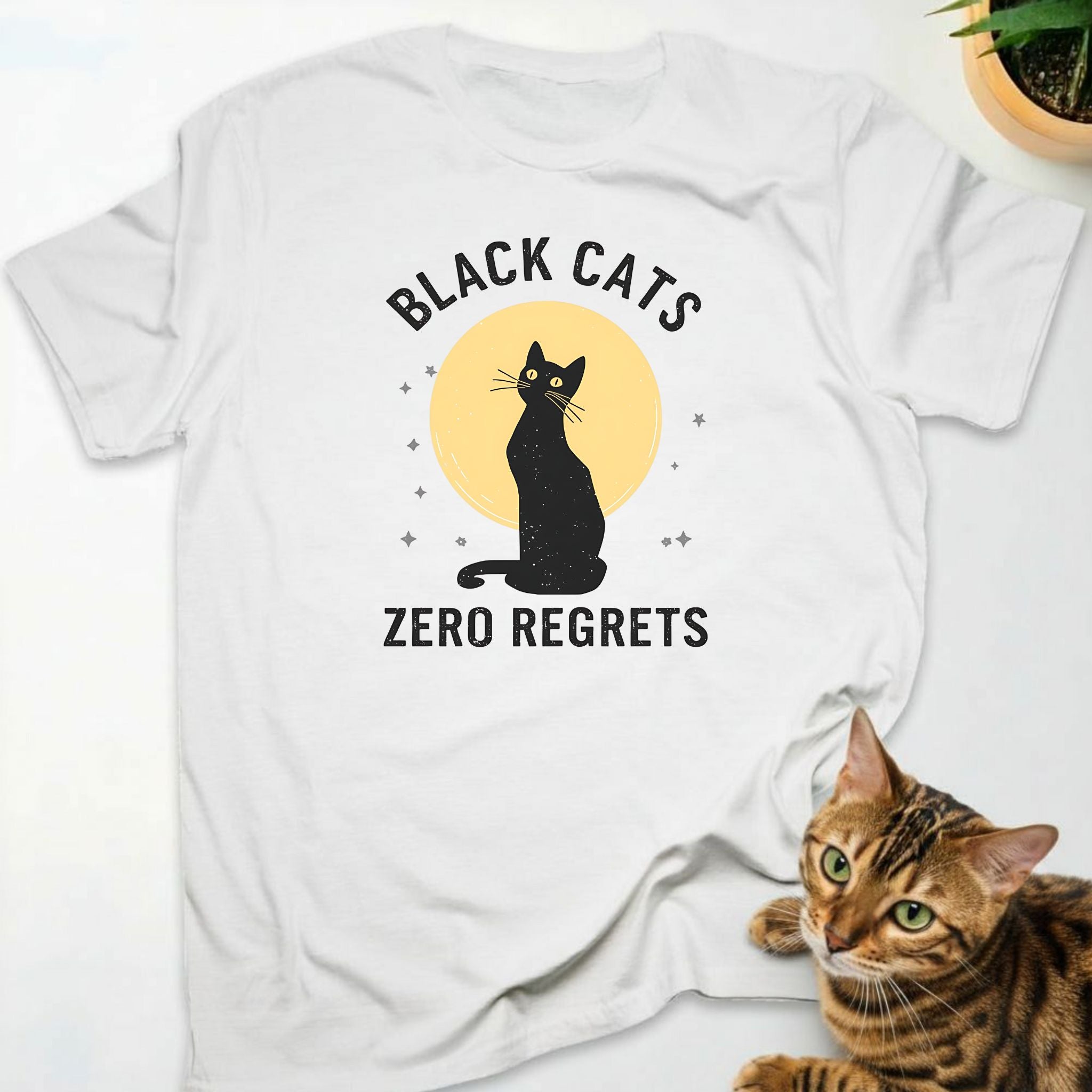 Black Cats Zero Regrets