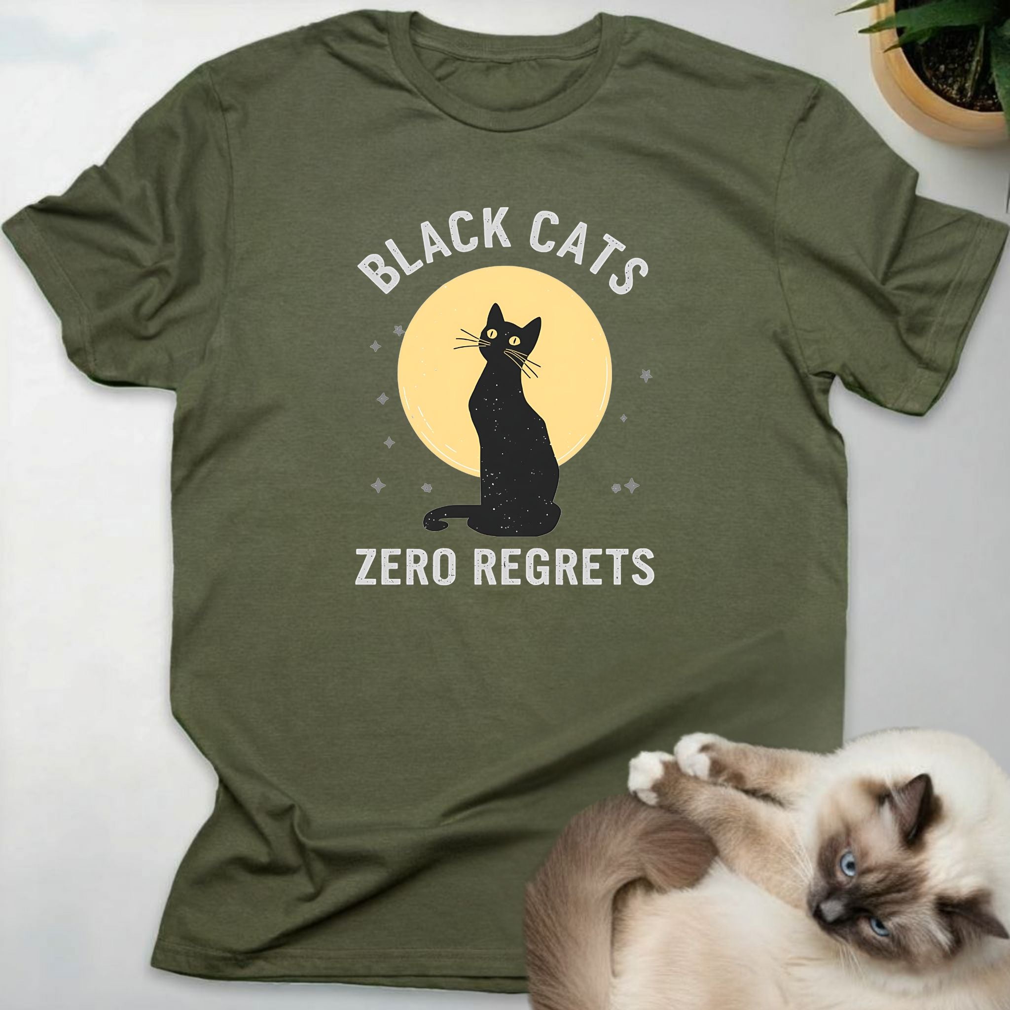 Black Cats Zero Regrets