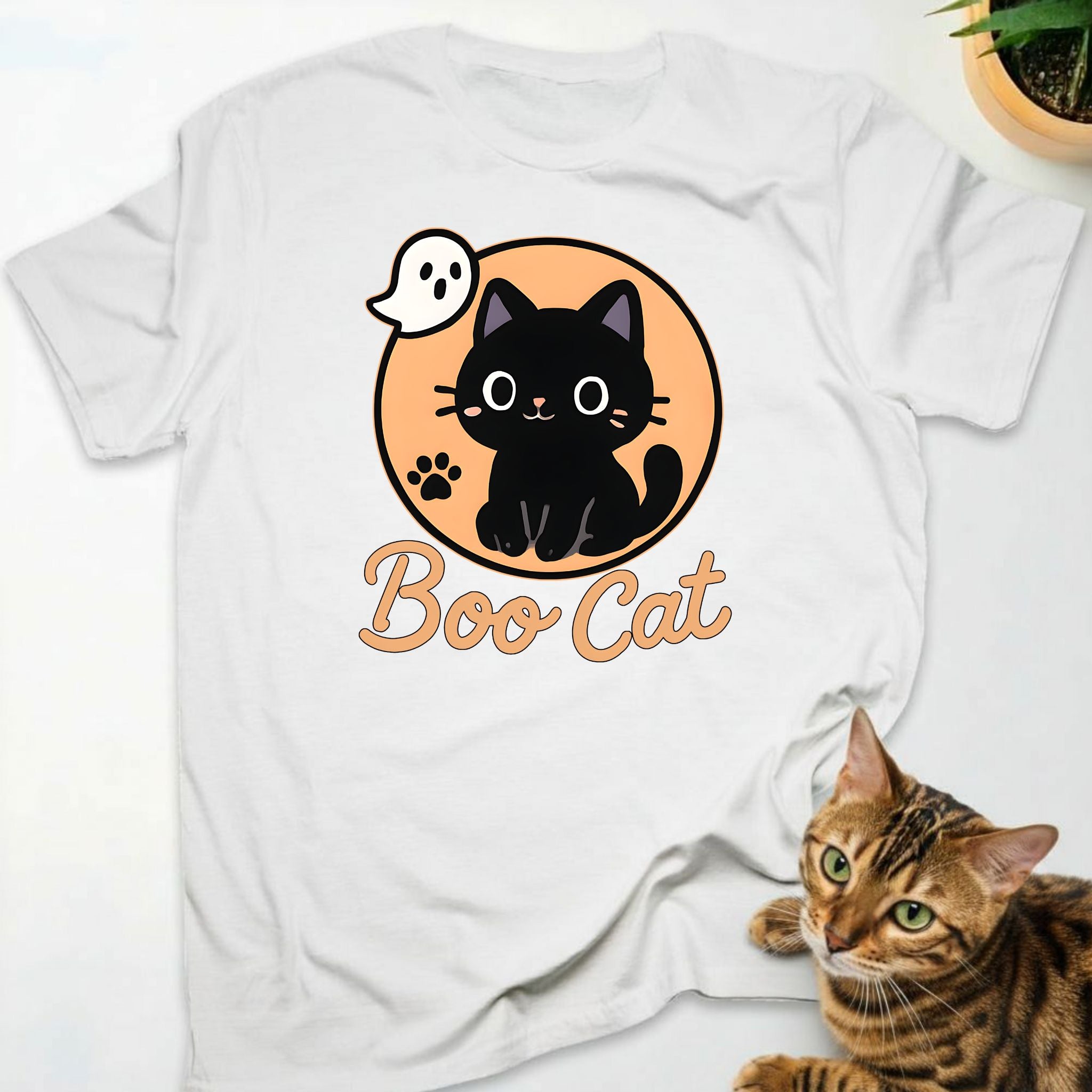 Boo Cat