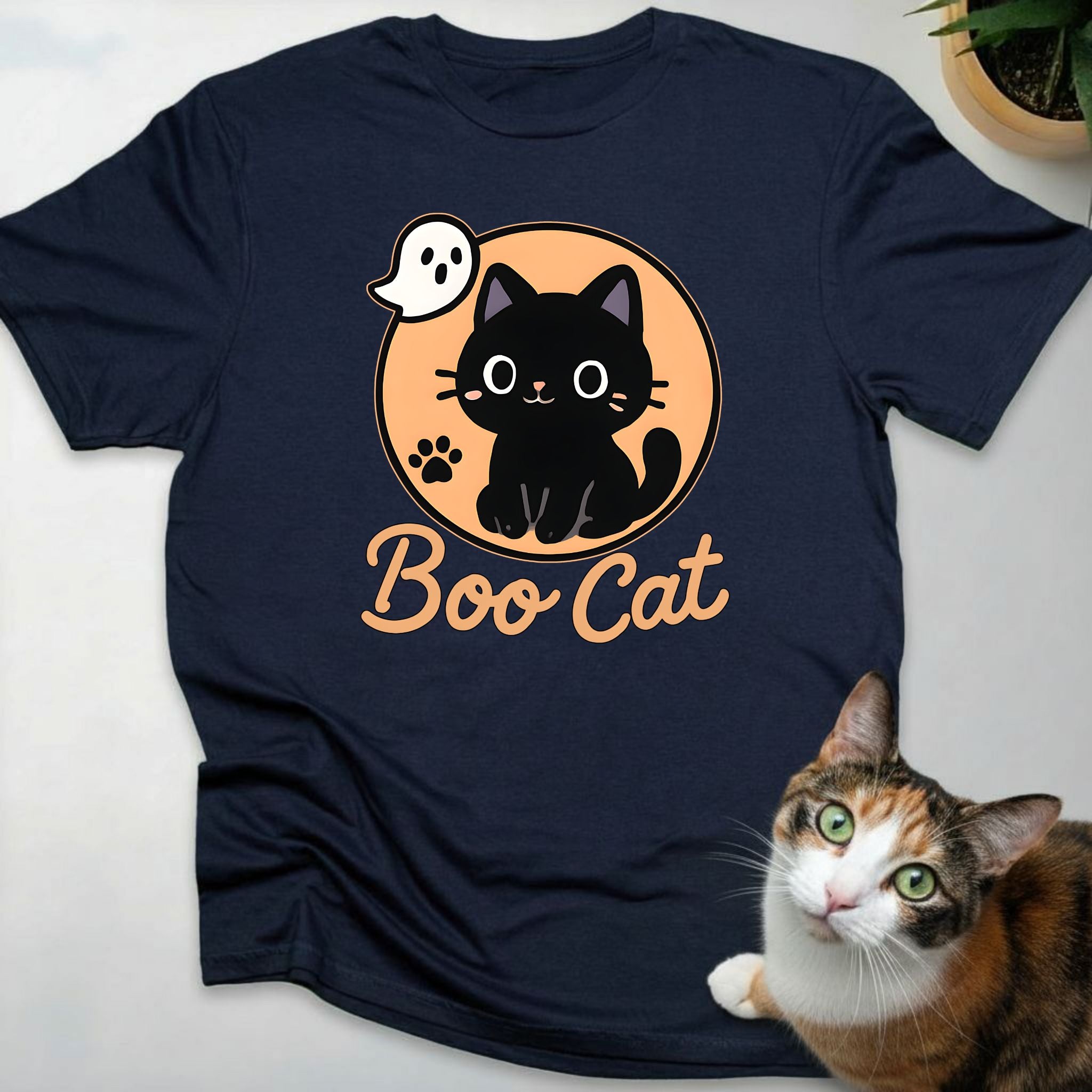 Boo Cat