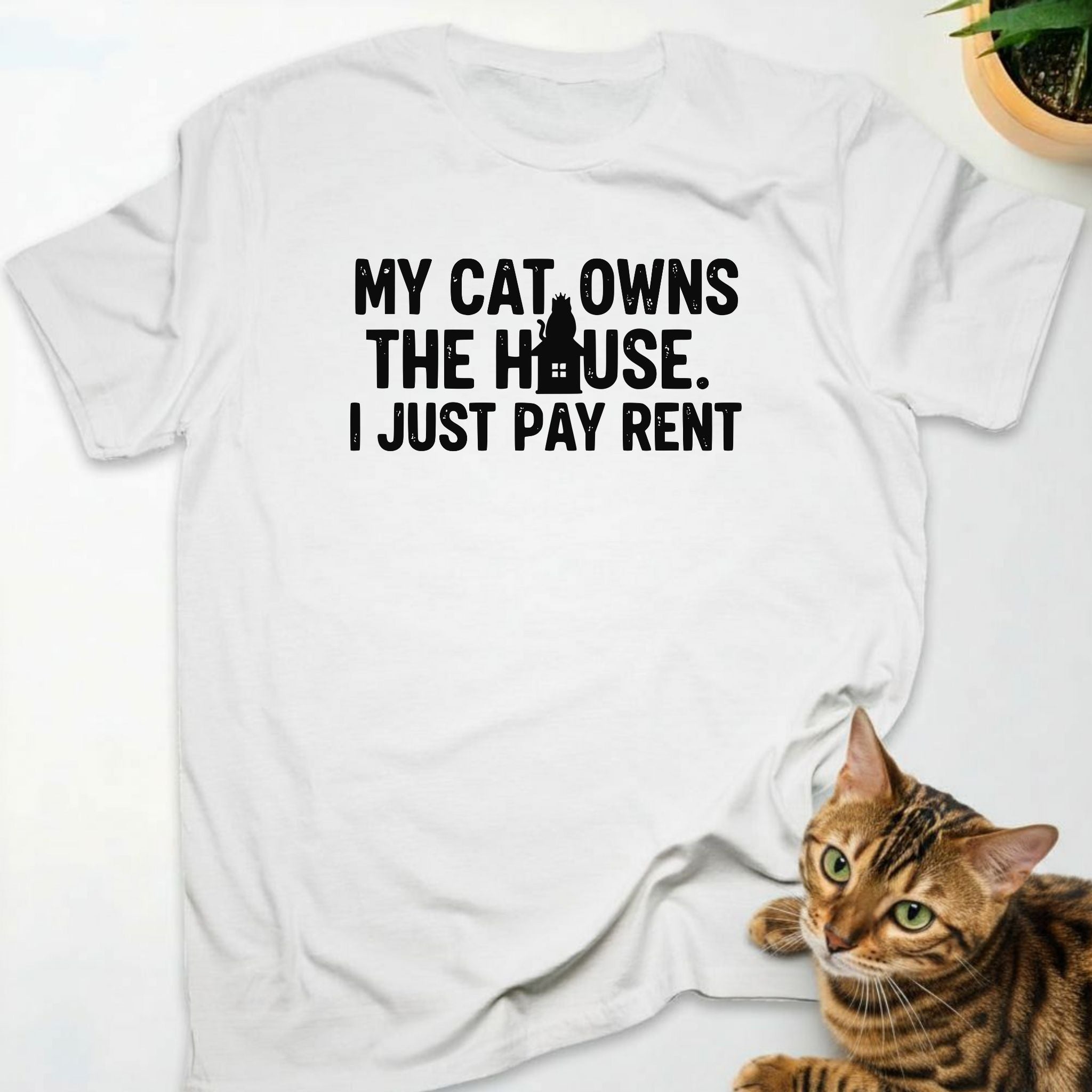 My Cat Owns the House. I just pay rent
