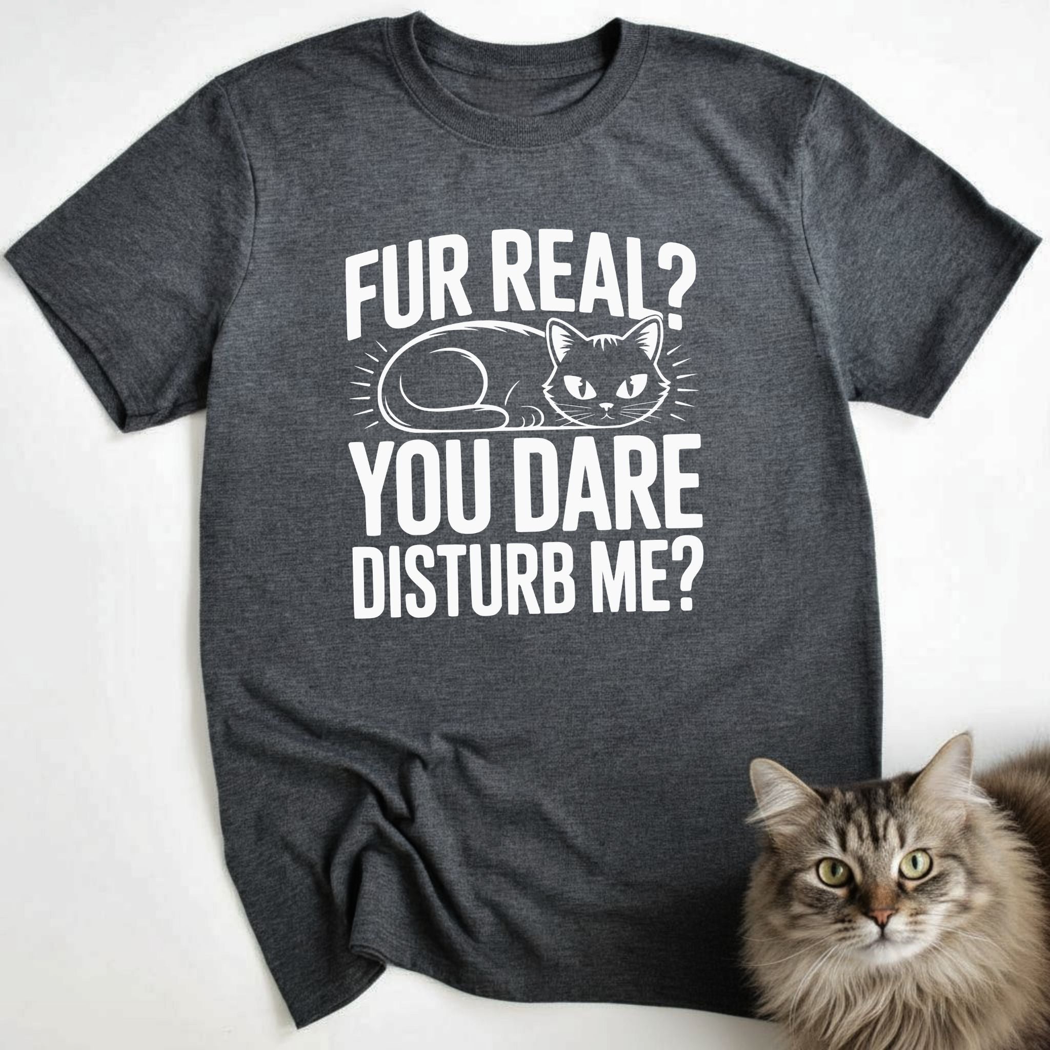 Fur Real? You Dare Disturb Me?
