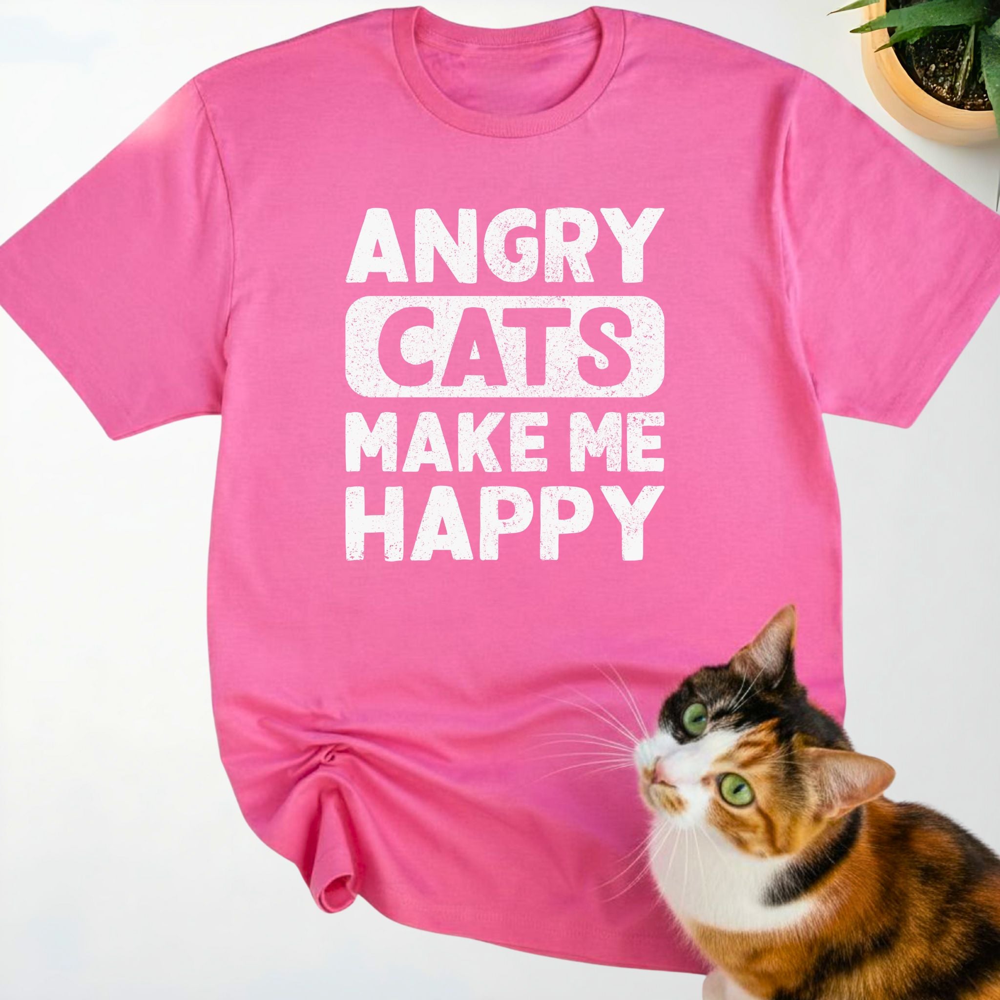 Angry Cats make me Happy