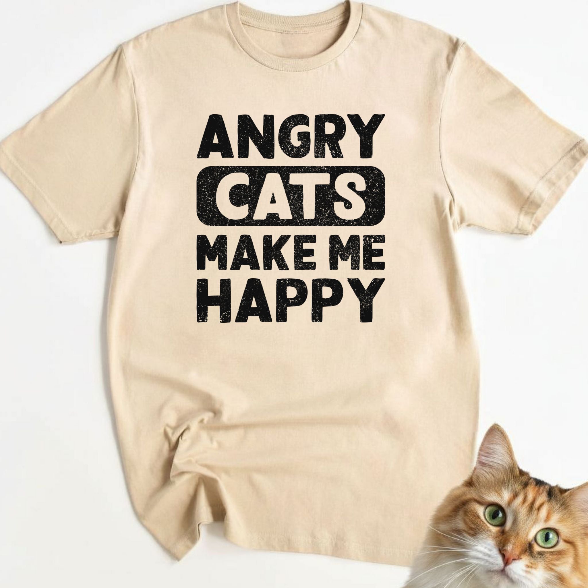 Angry Cats make me Happy