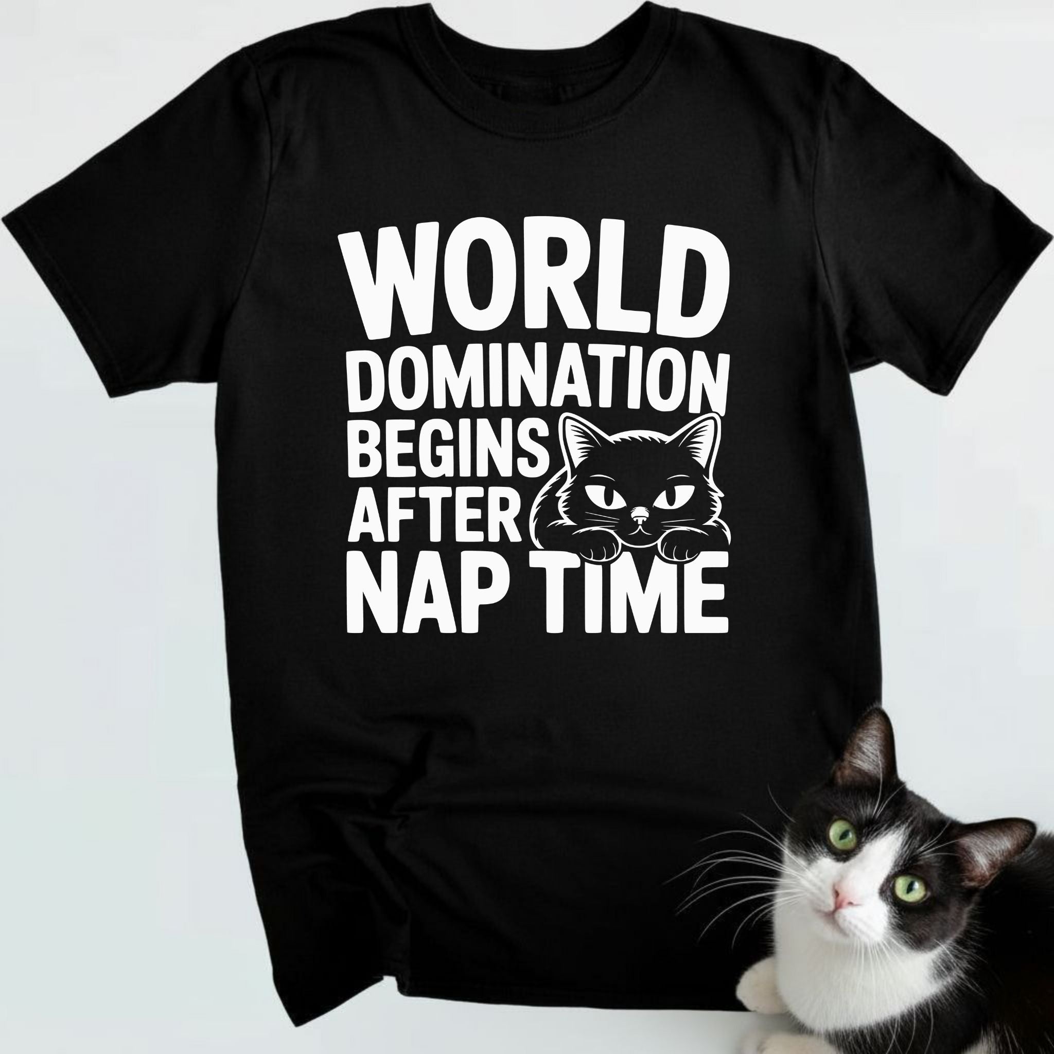World Domination Begins After Nap Time