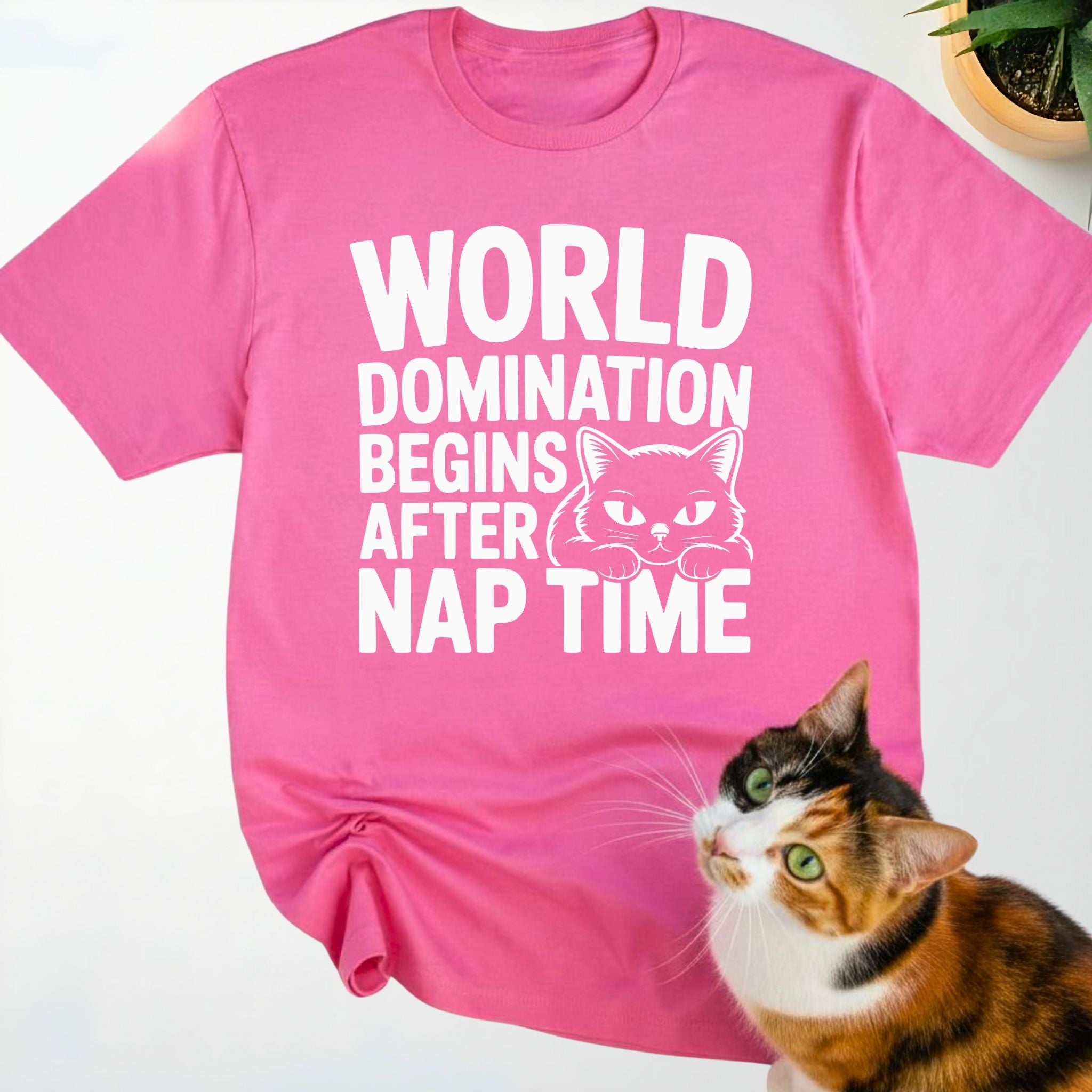 World Domination Begins After Nap Time
