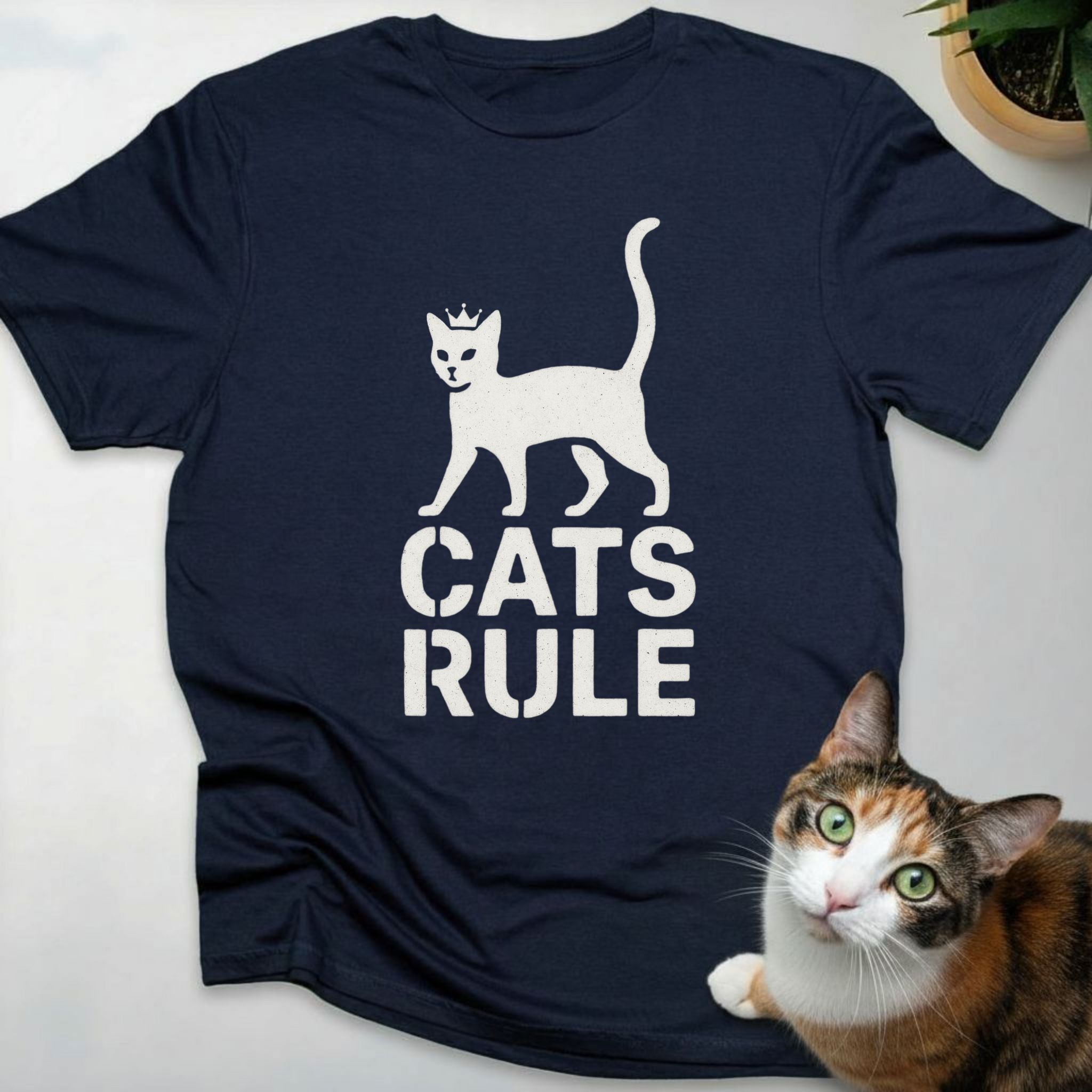 Cats Rule