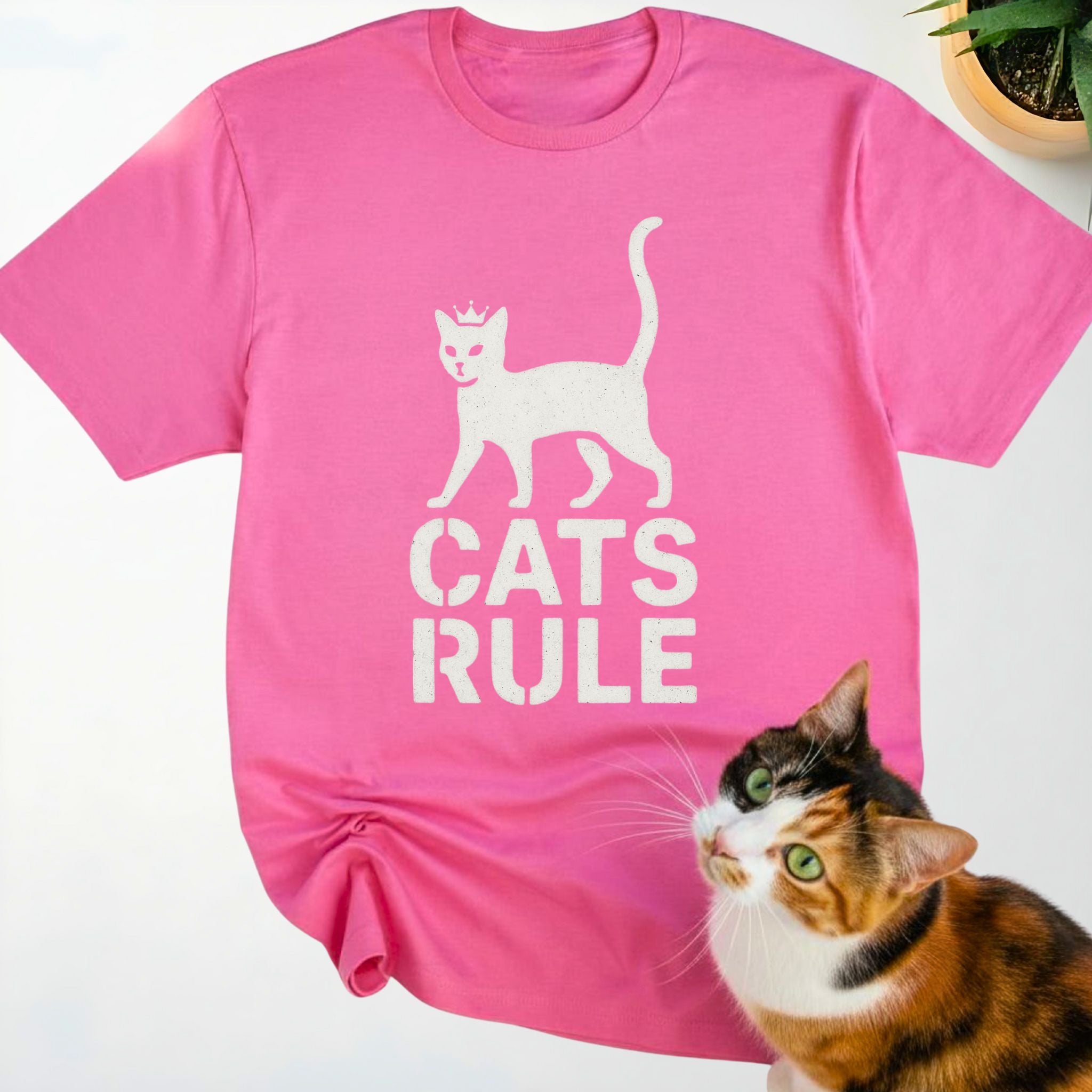 Cats Rule