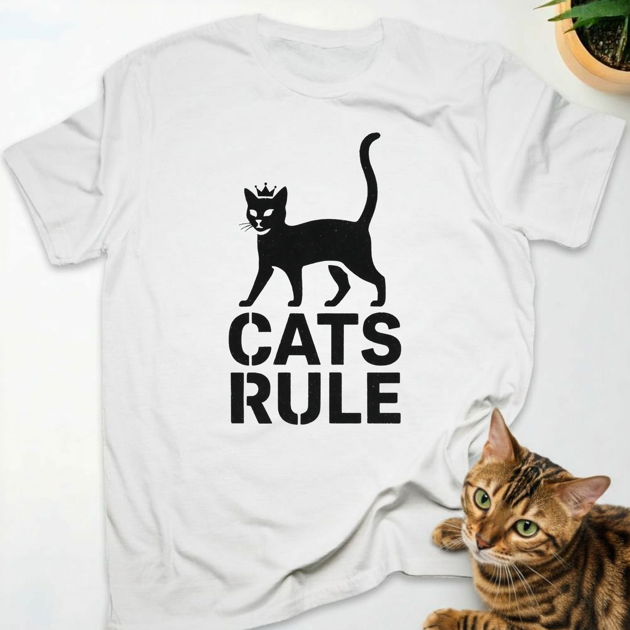 Cats Rule