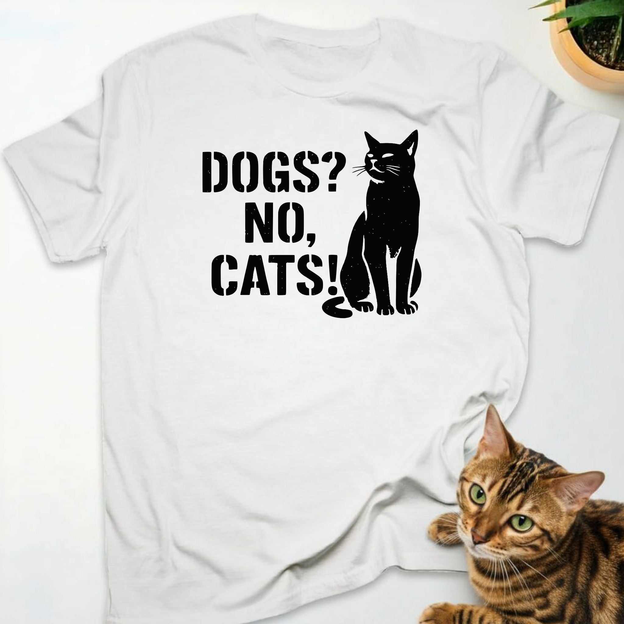 Dogs? No, Cats!