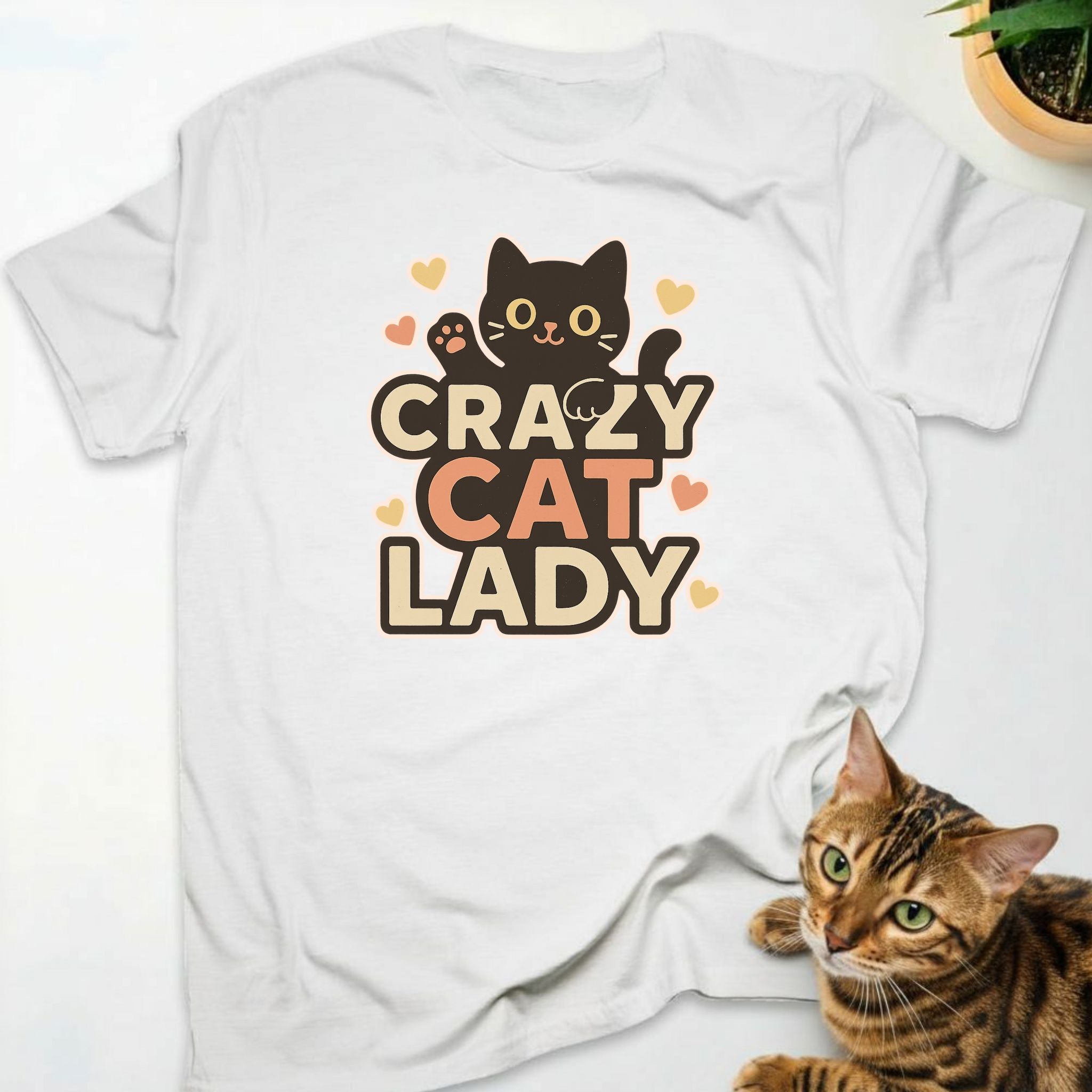 Crazy Cat Lady