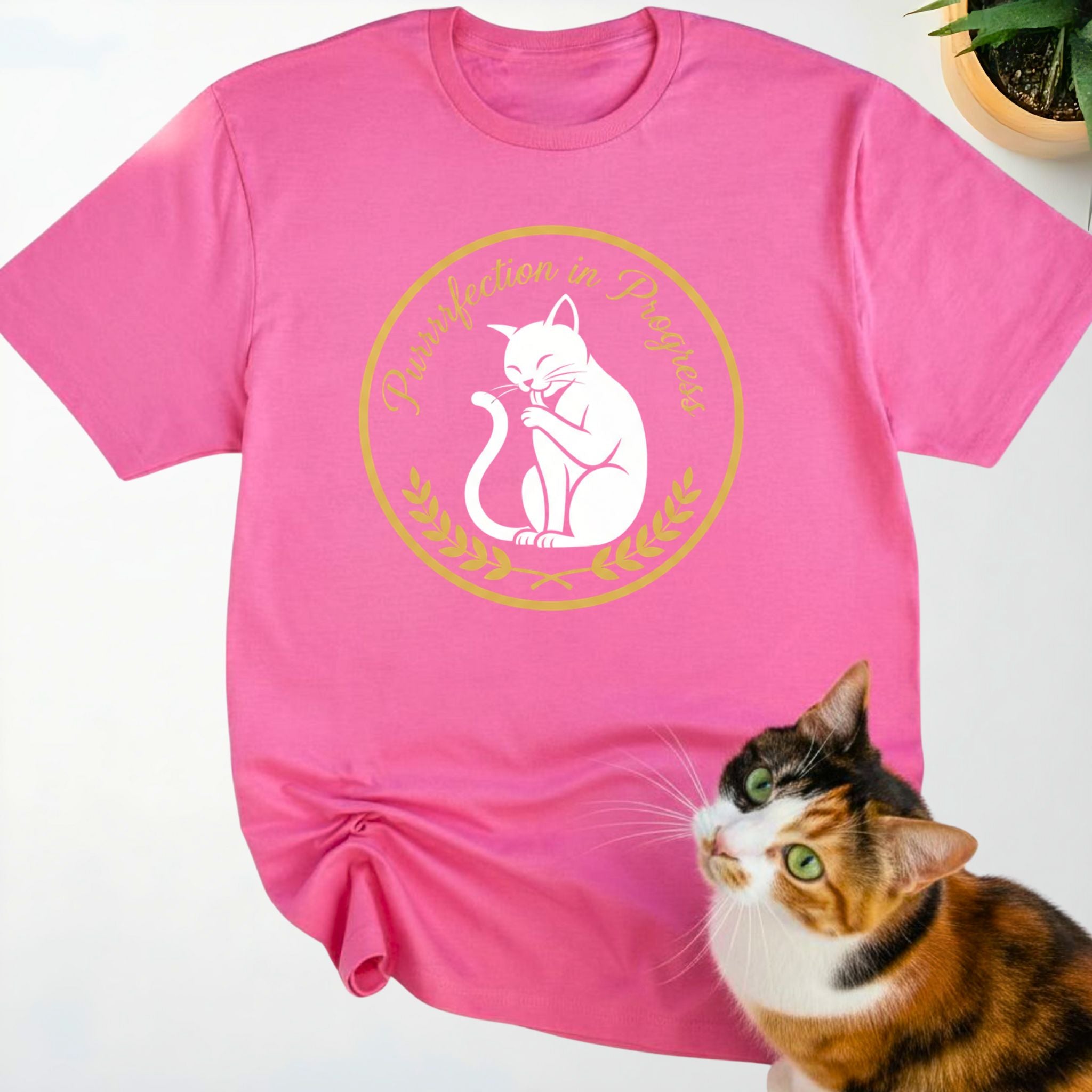 PurrrrFection In Progress