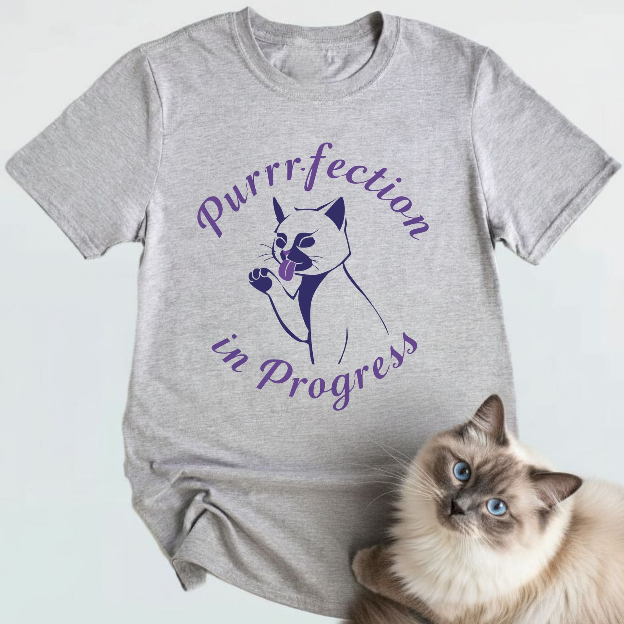 Purrrfection In Progress