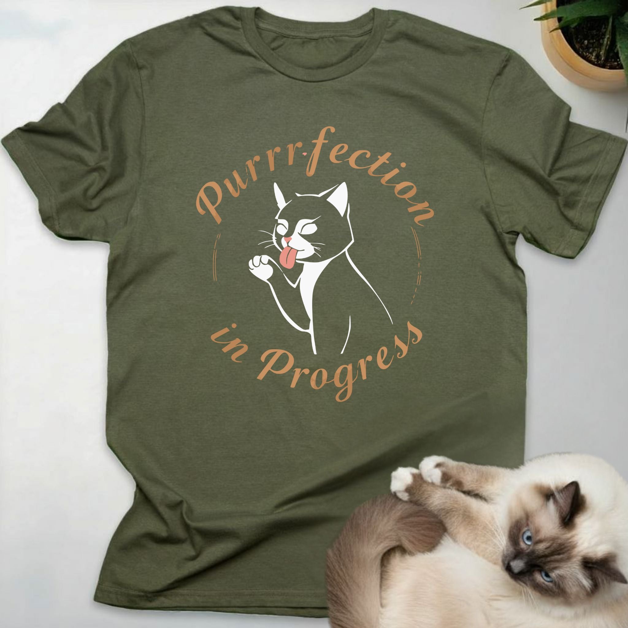 Purrrfection In Progress